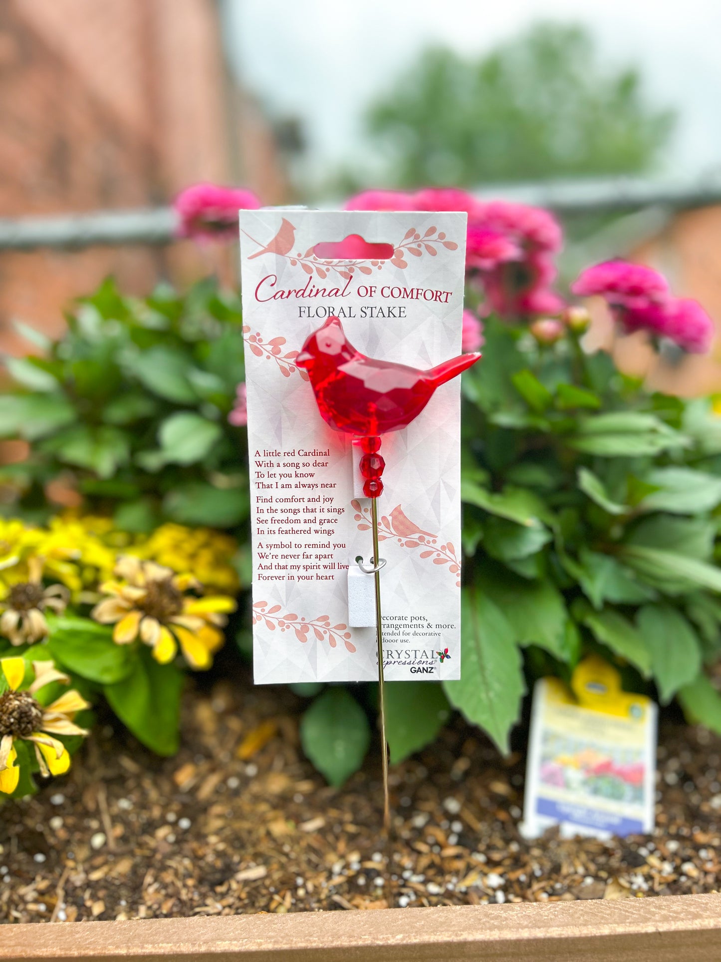 Cardinal of Comfort Floral Stake