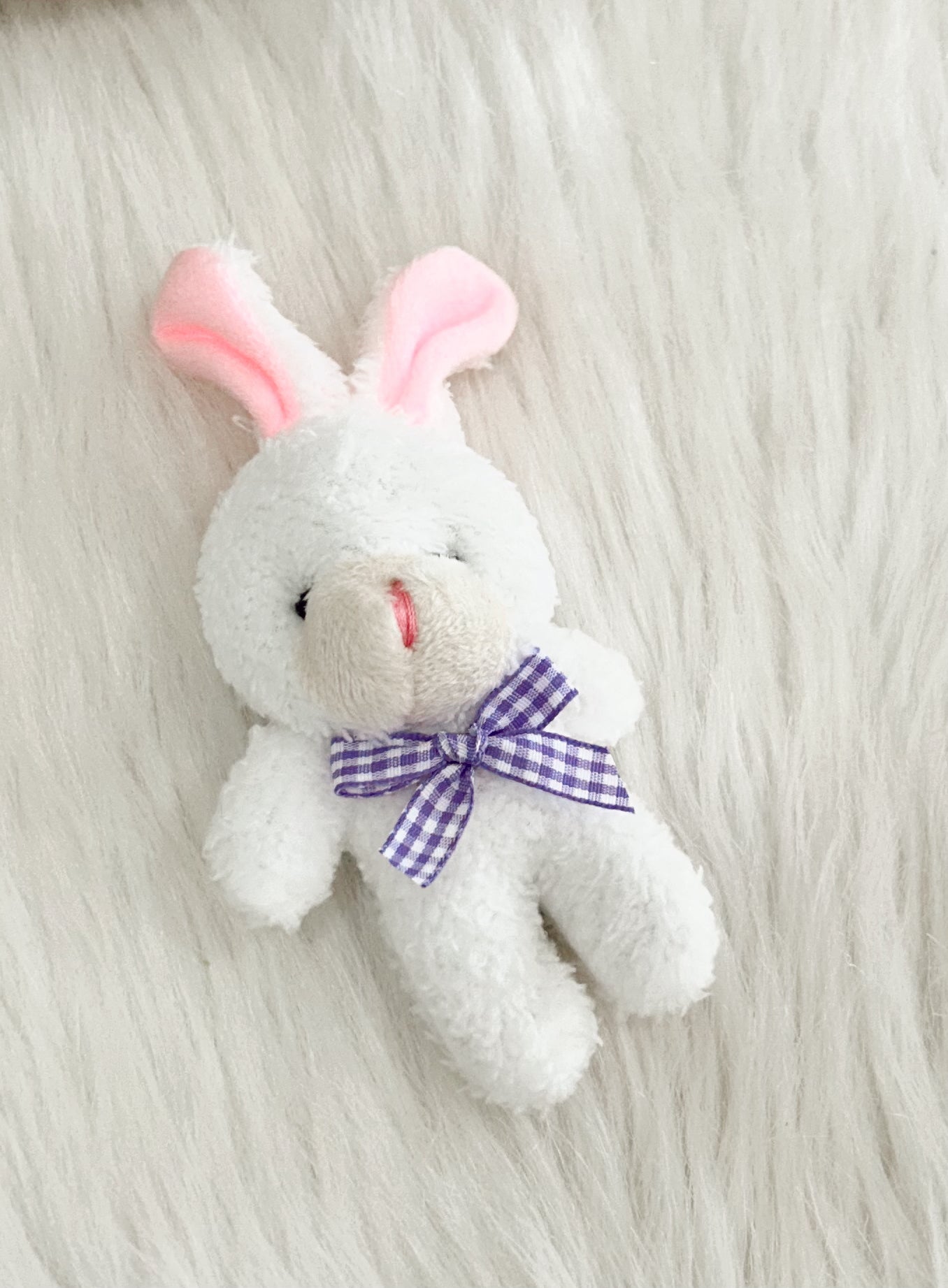 Stuffed Mini Bunny