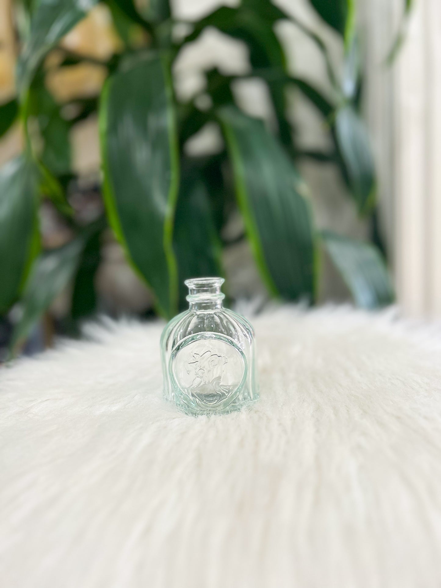 Clear Glass Bud Vase
