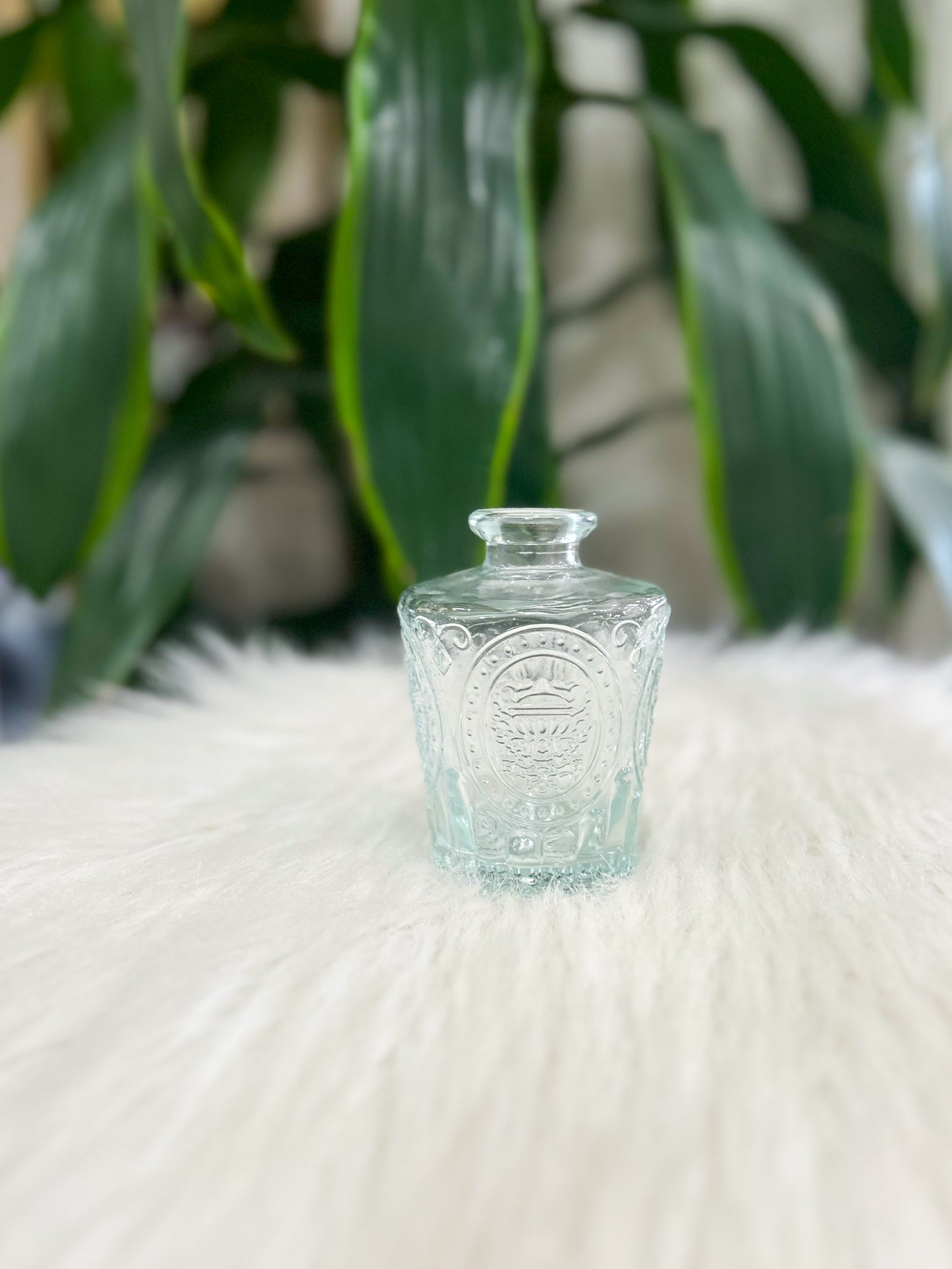Clear Glass Bud Vase
