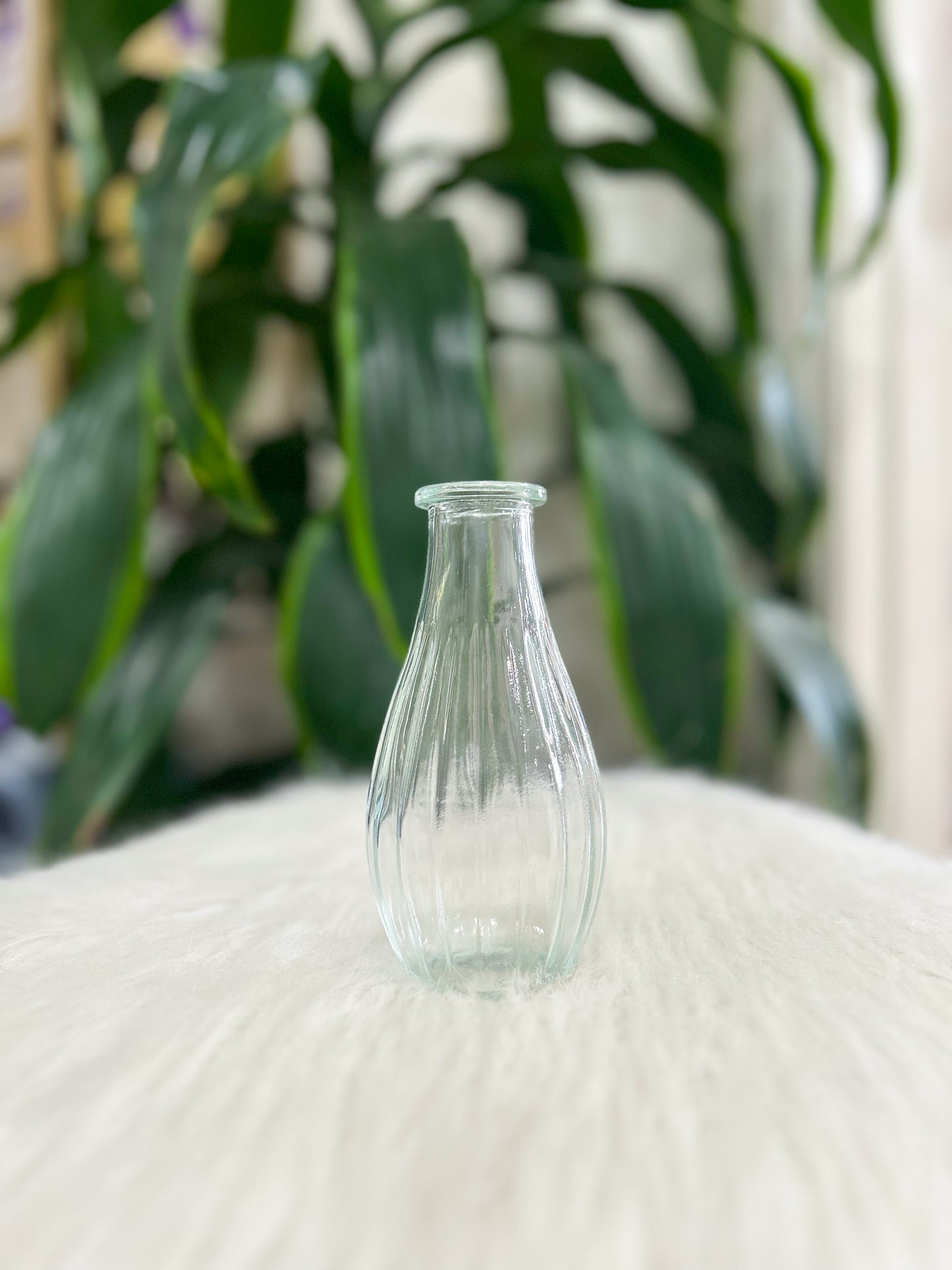 Clear Glass Bud Vase
