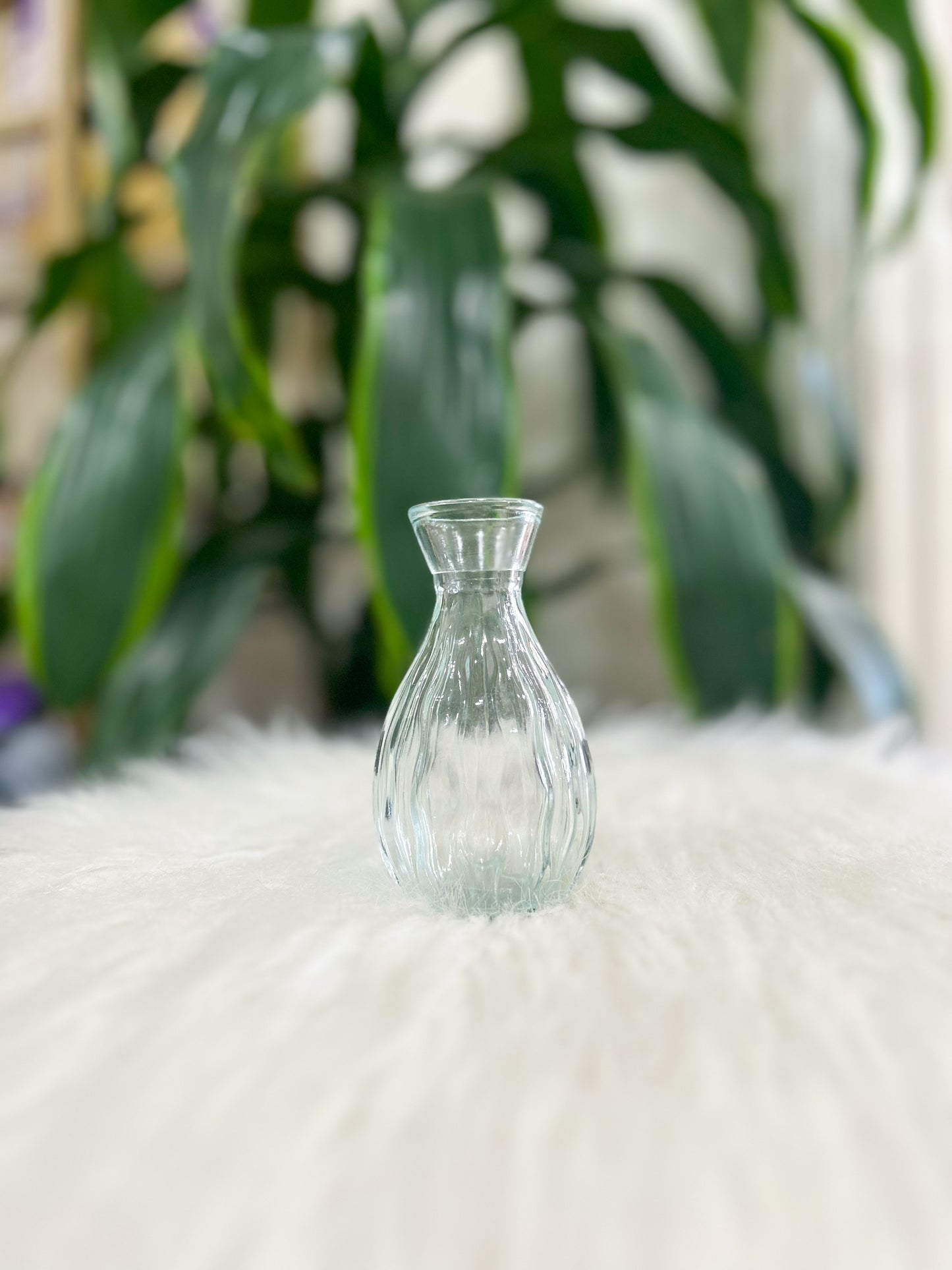 Clear Glass Bud Vase