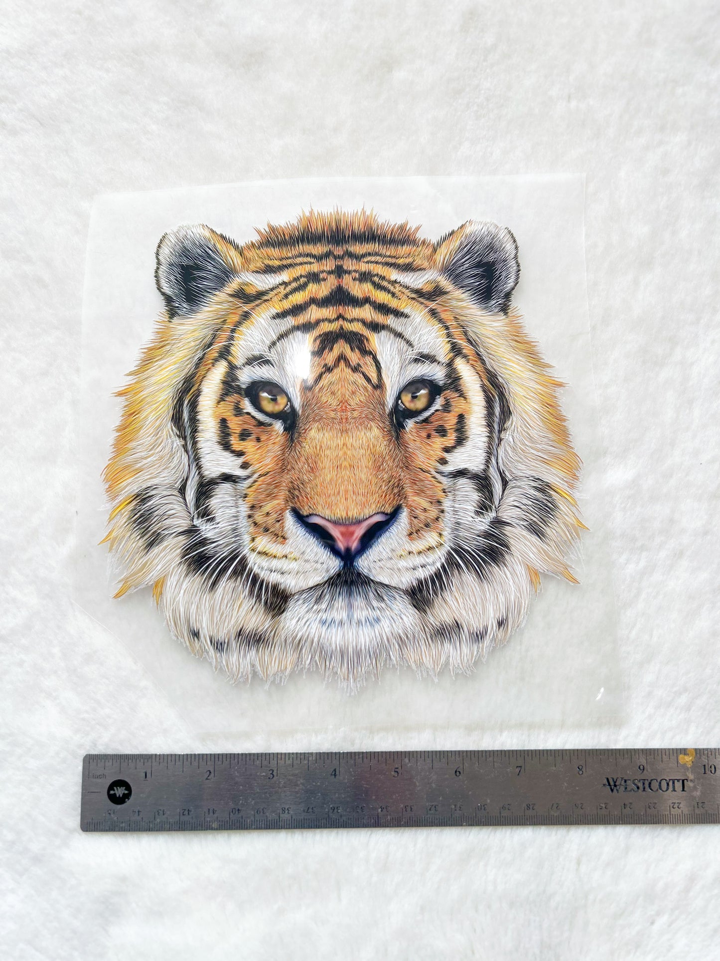 Transfer- Fierce Tiger (3 variants)
