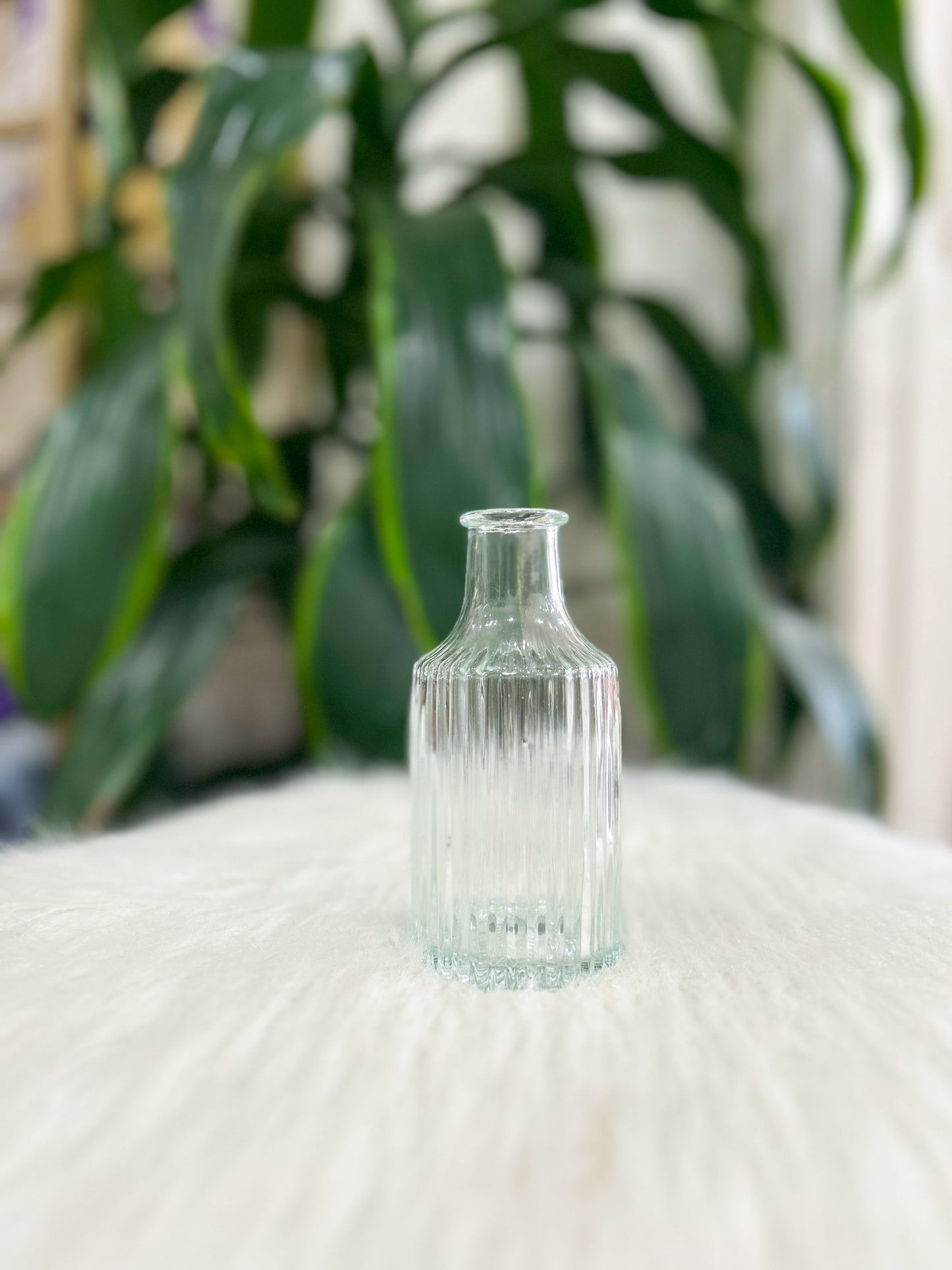 Clear Glass Bud Vase