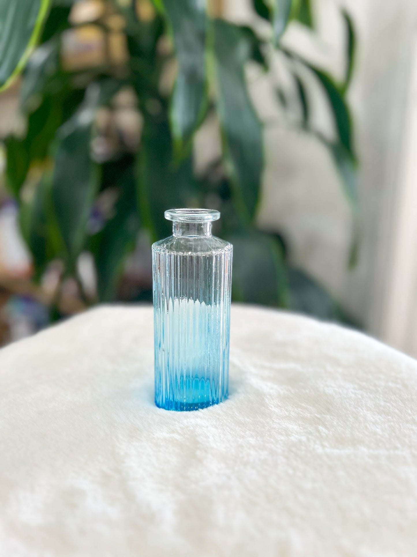 Florence Vintage Inspired Medium Bud Vase