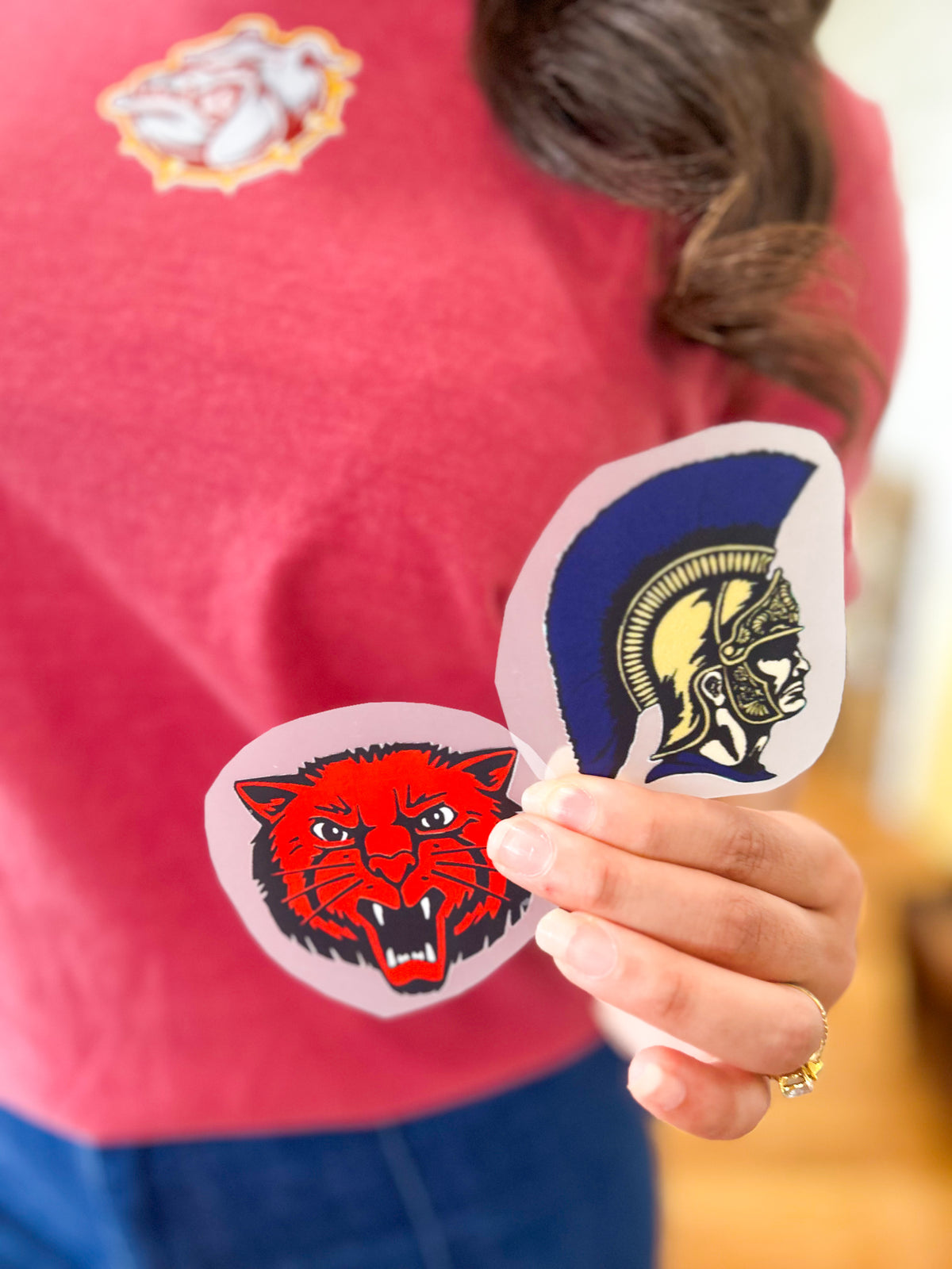 Transfer- Trojan Mascot