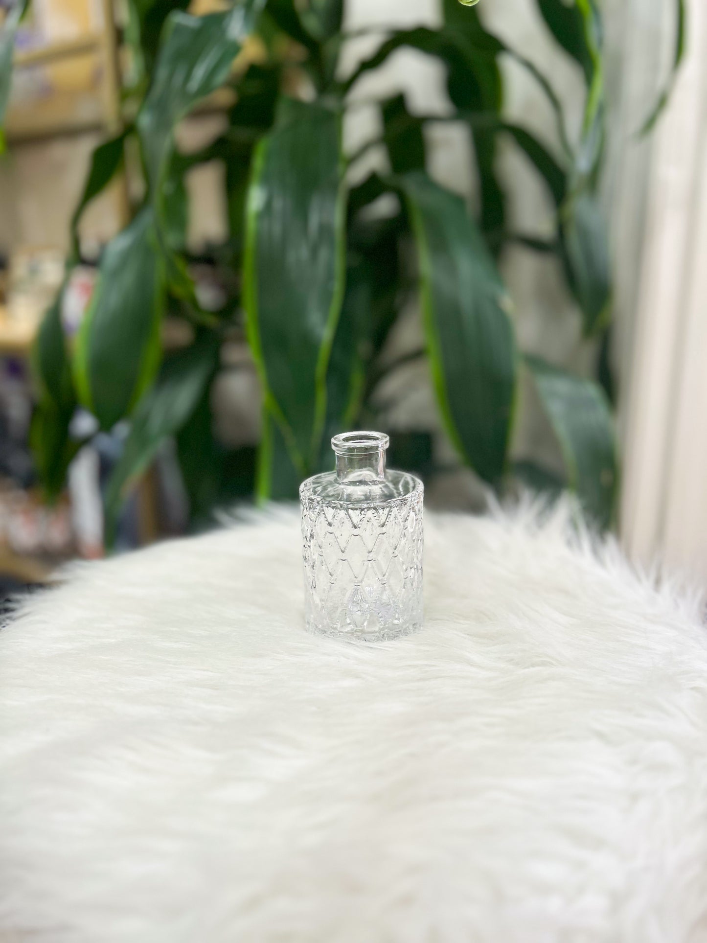 Clear Glass Bud Vase
