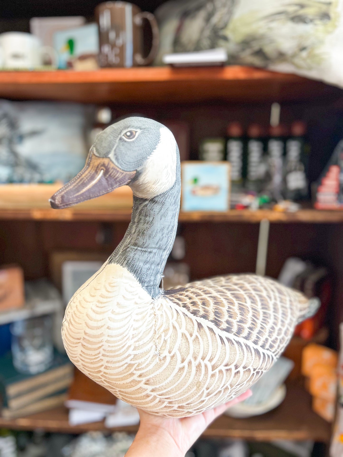 Vintage Waterfowl Pillow