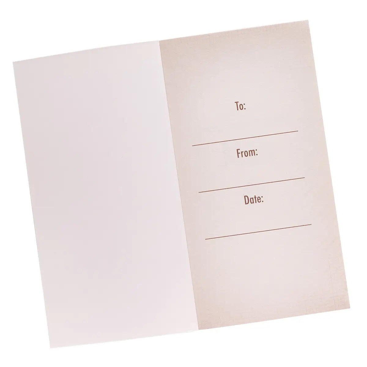 Godmoments For Men Softcover