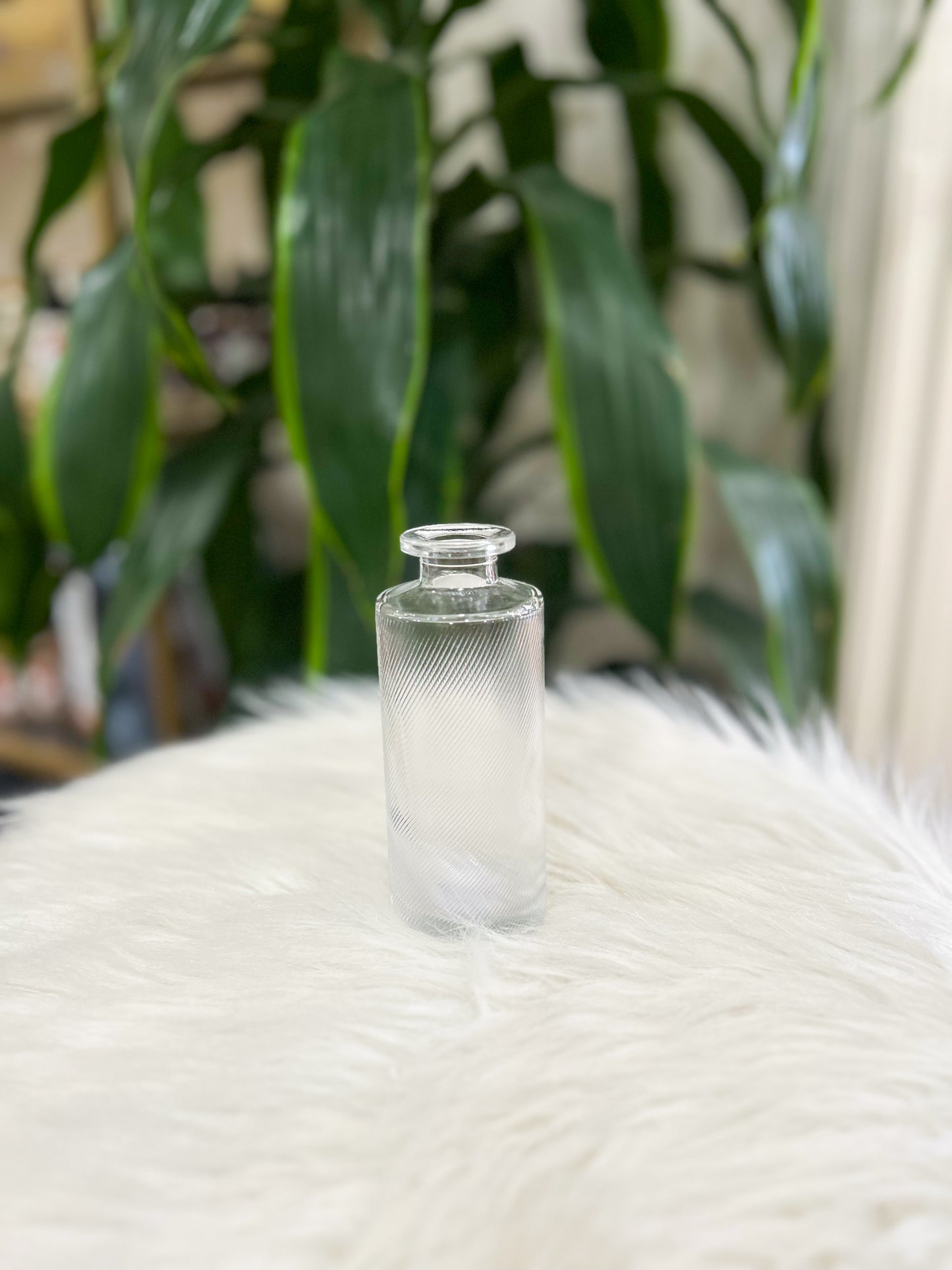 Clear Glass Bud Vase