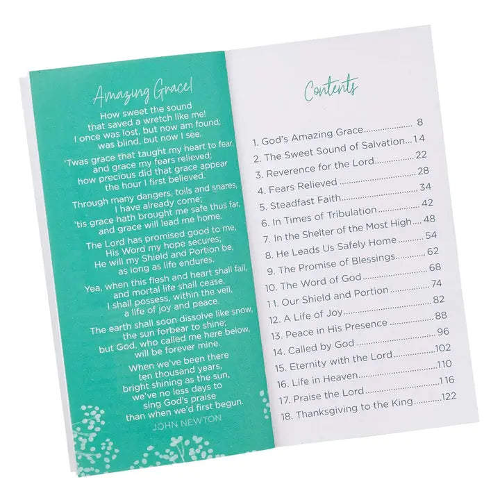 The Amazing Grace Promise Book