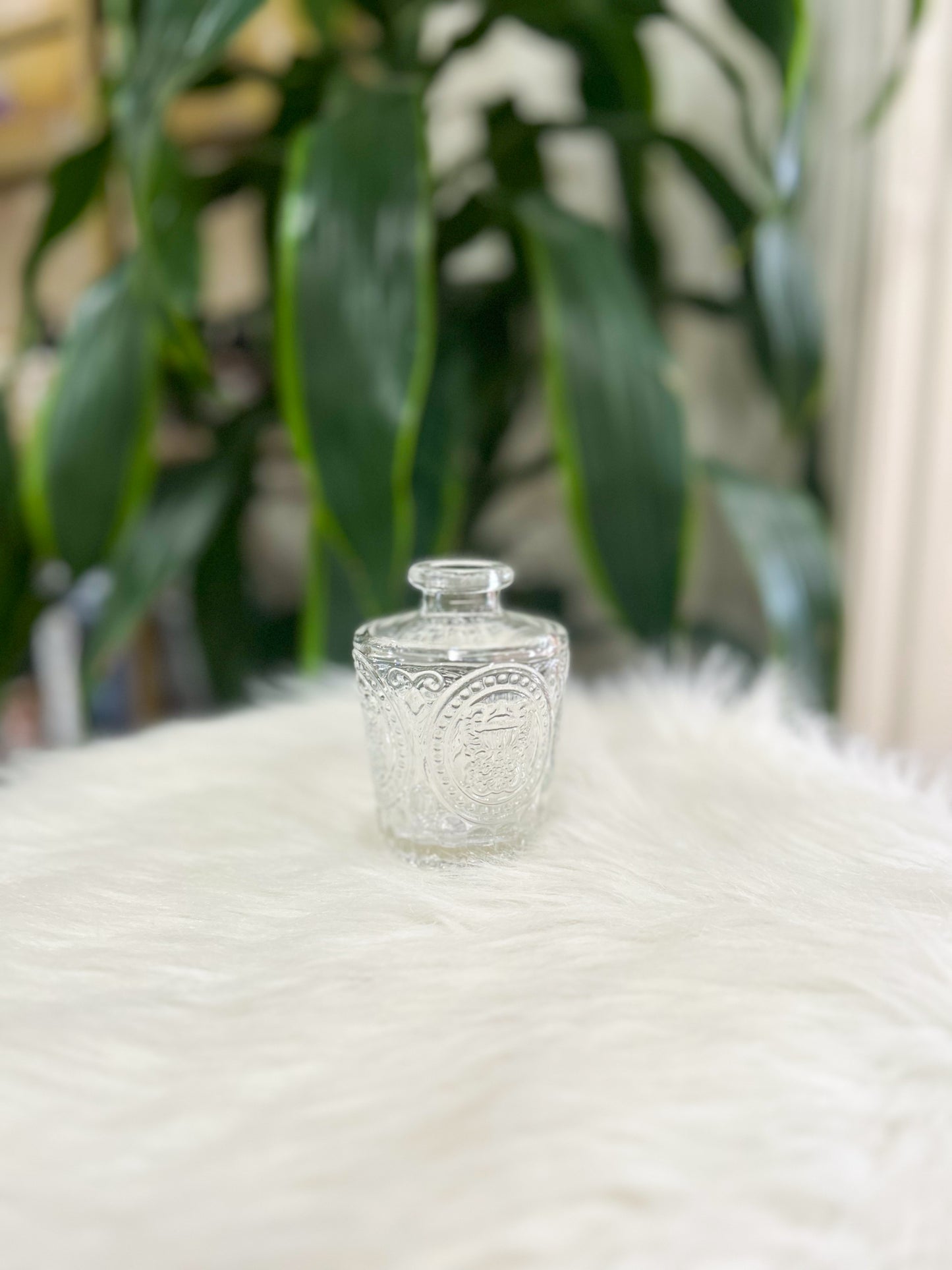 Clear Glass Bud Vase