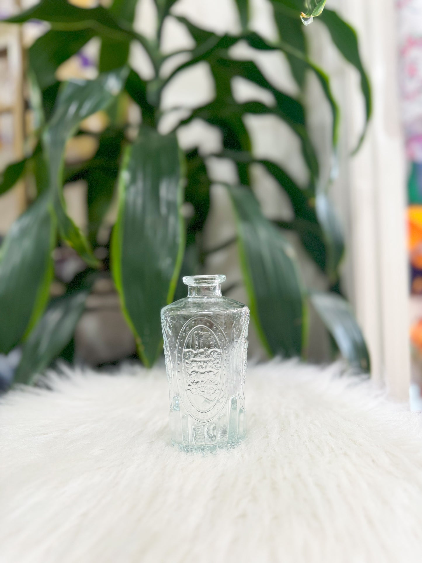 Clear Glass Bud Vase