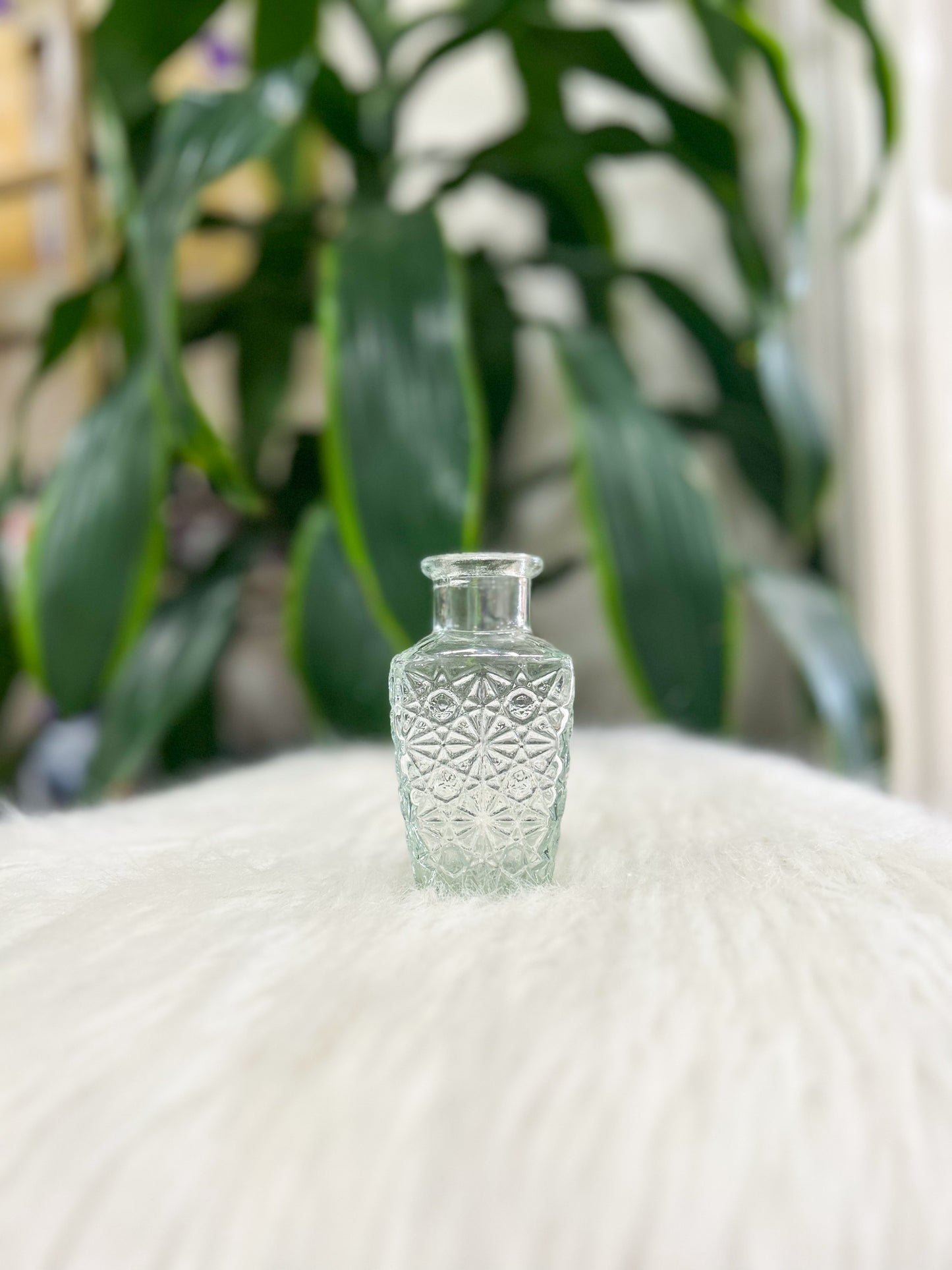 Clear Glass Bud Vase
