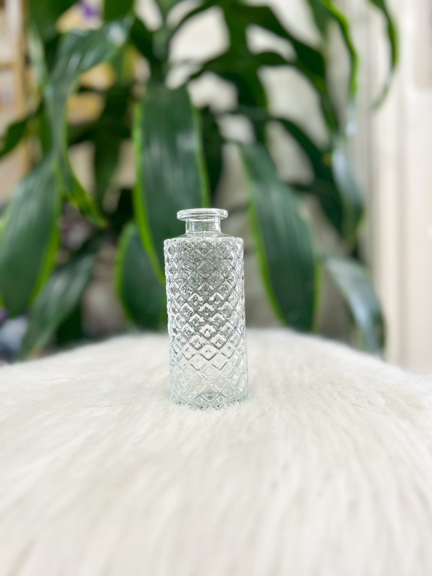 Clear Glass Bud Vase
