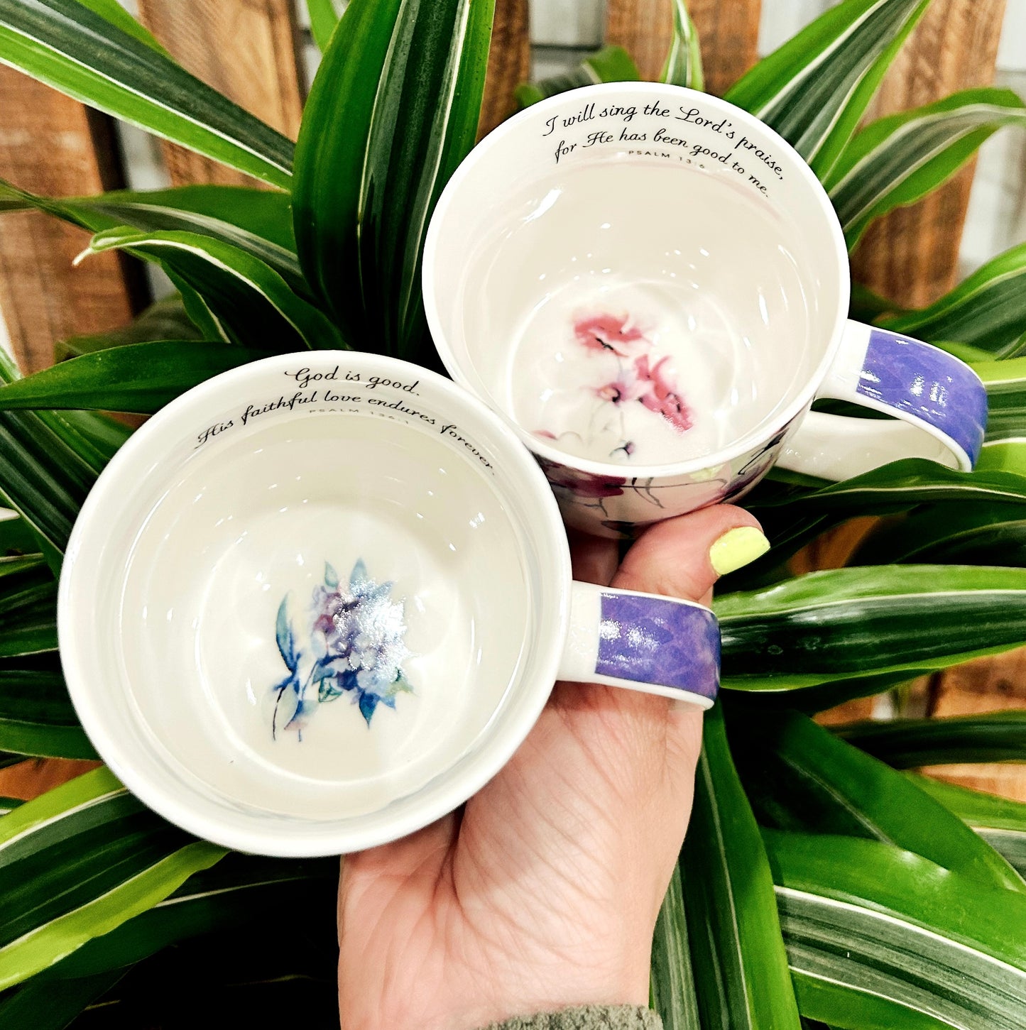 Seeds of Love Mugs