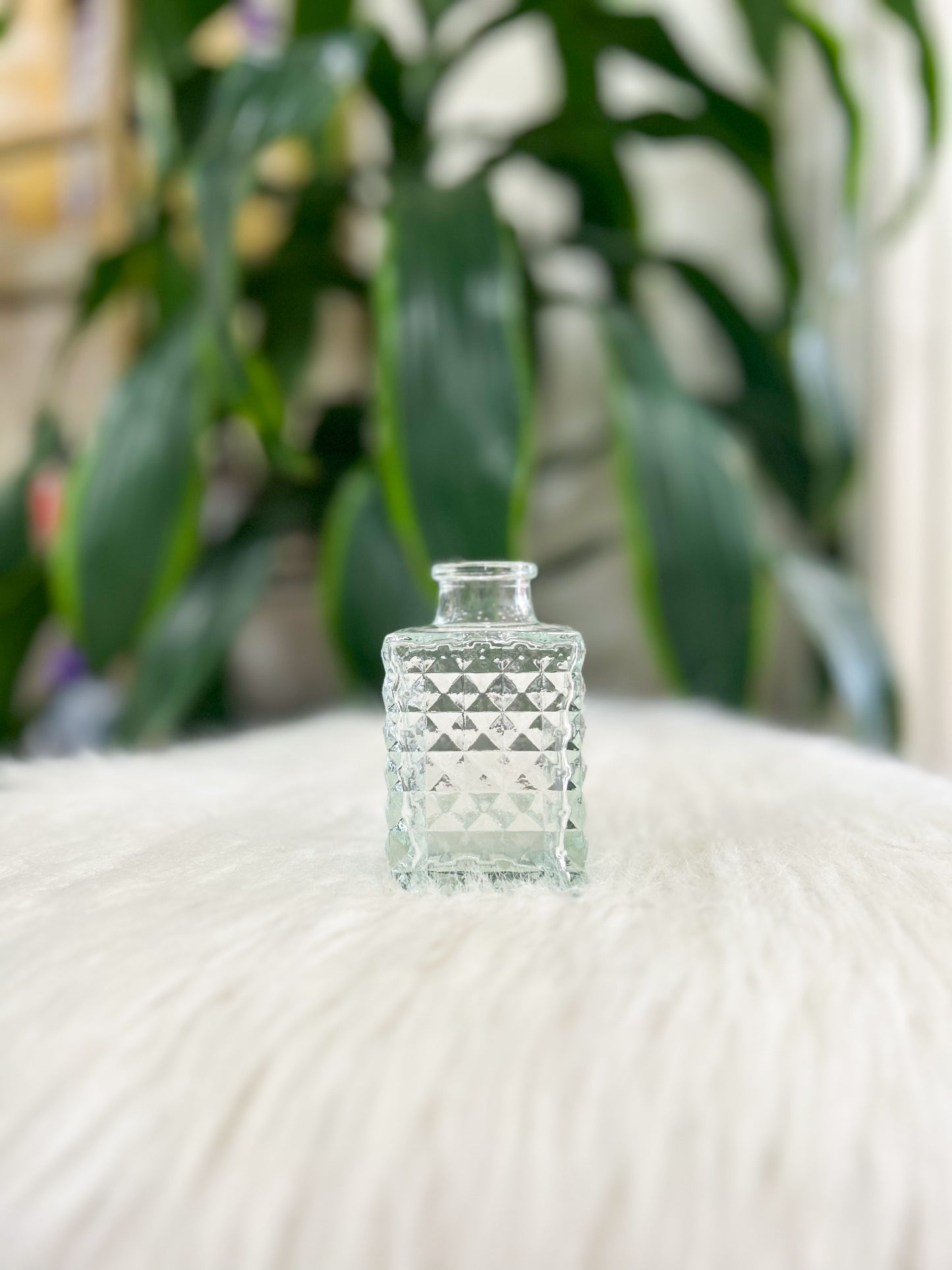 Clear Glass Bud Vase