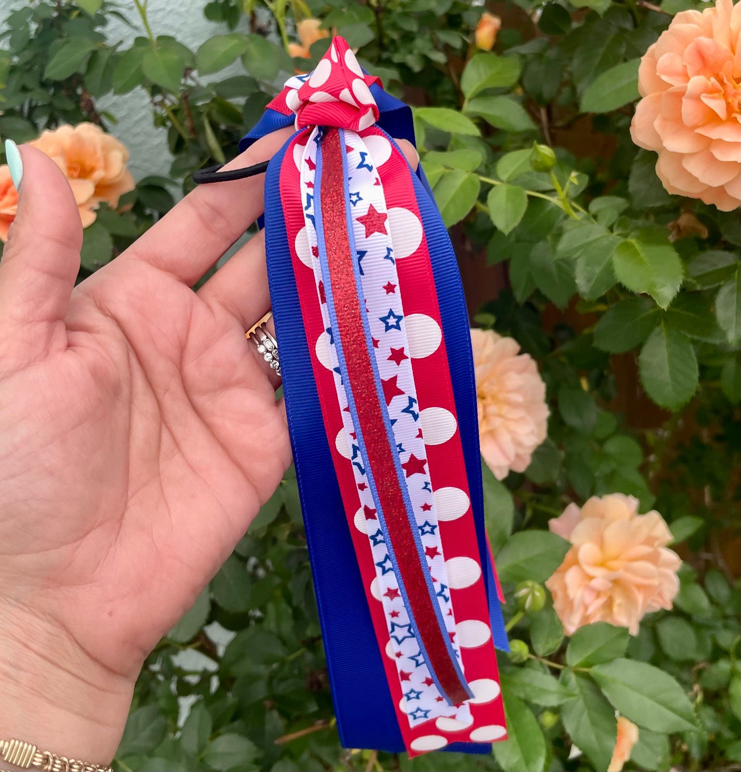 Spring Fair 2025 Streamer