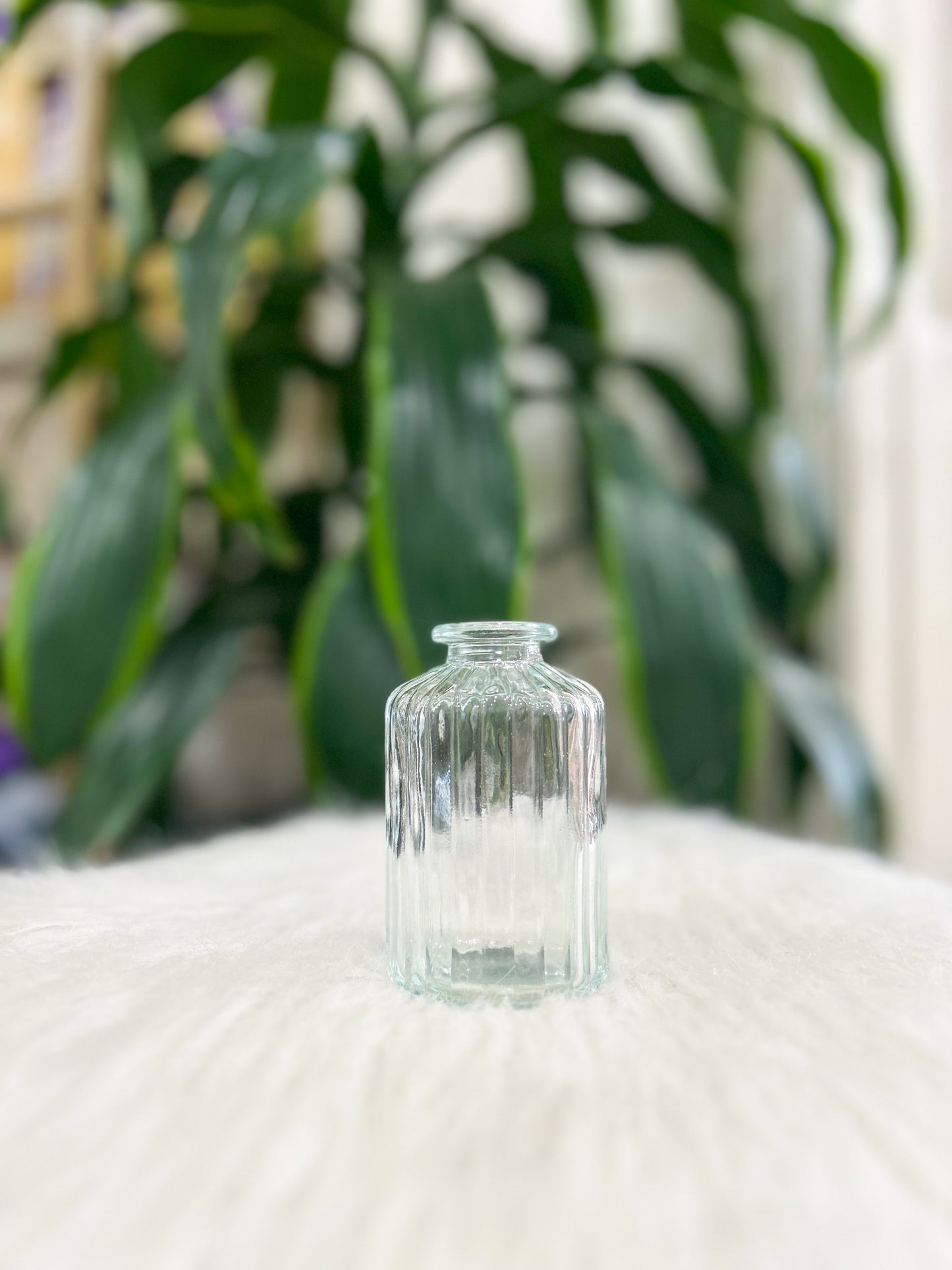 Clear Glass Bud Vase