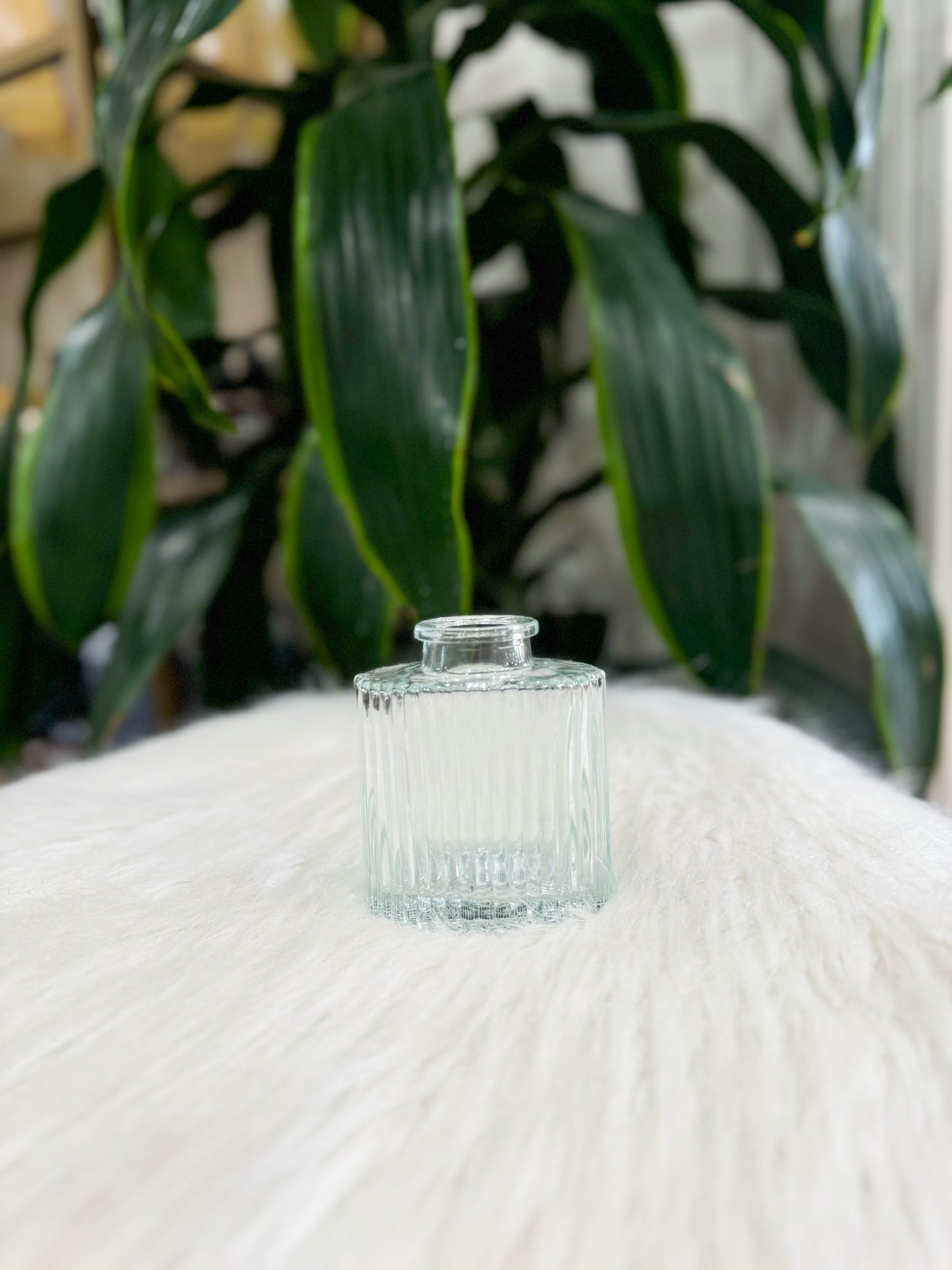 Clear Glass Bud Vase