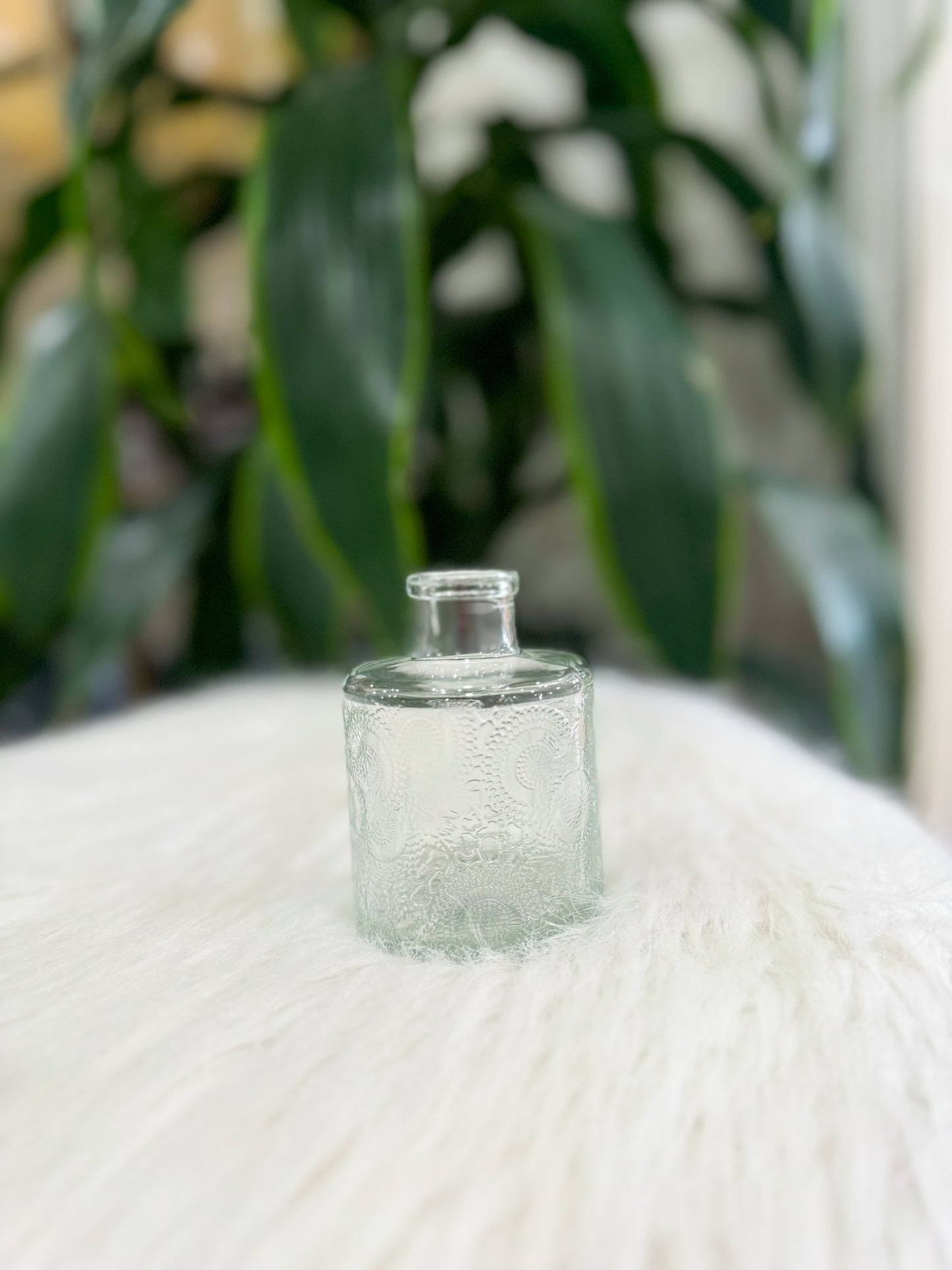 Clear Glass Bud Vase