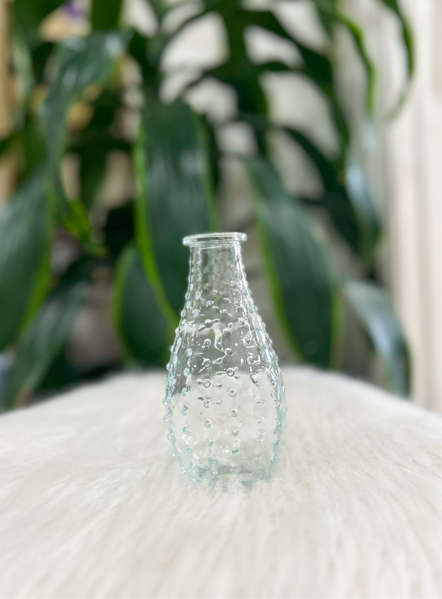 Clear Glass Bud Vase