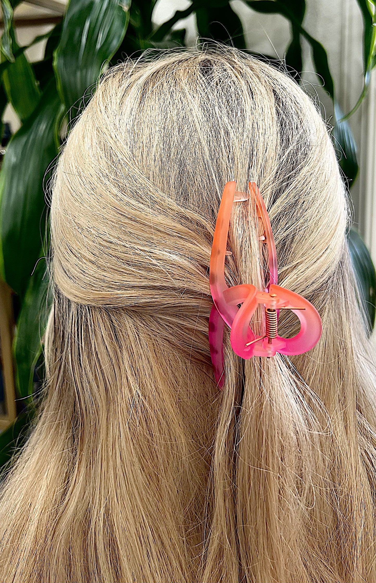 Ombre Claw Clip