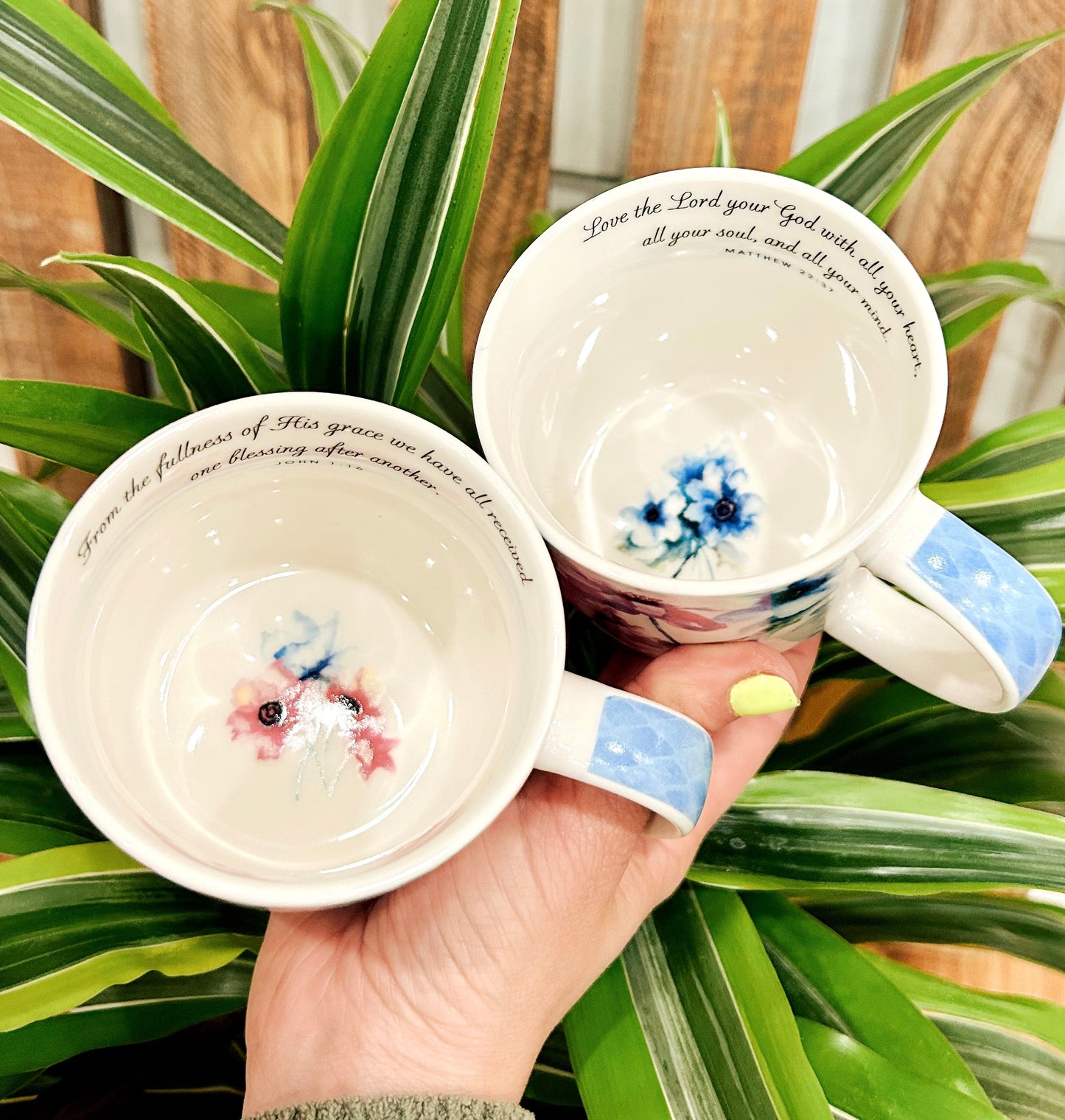 Seeds of Love Mugs