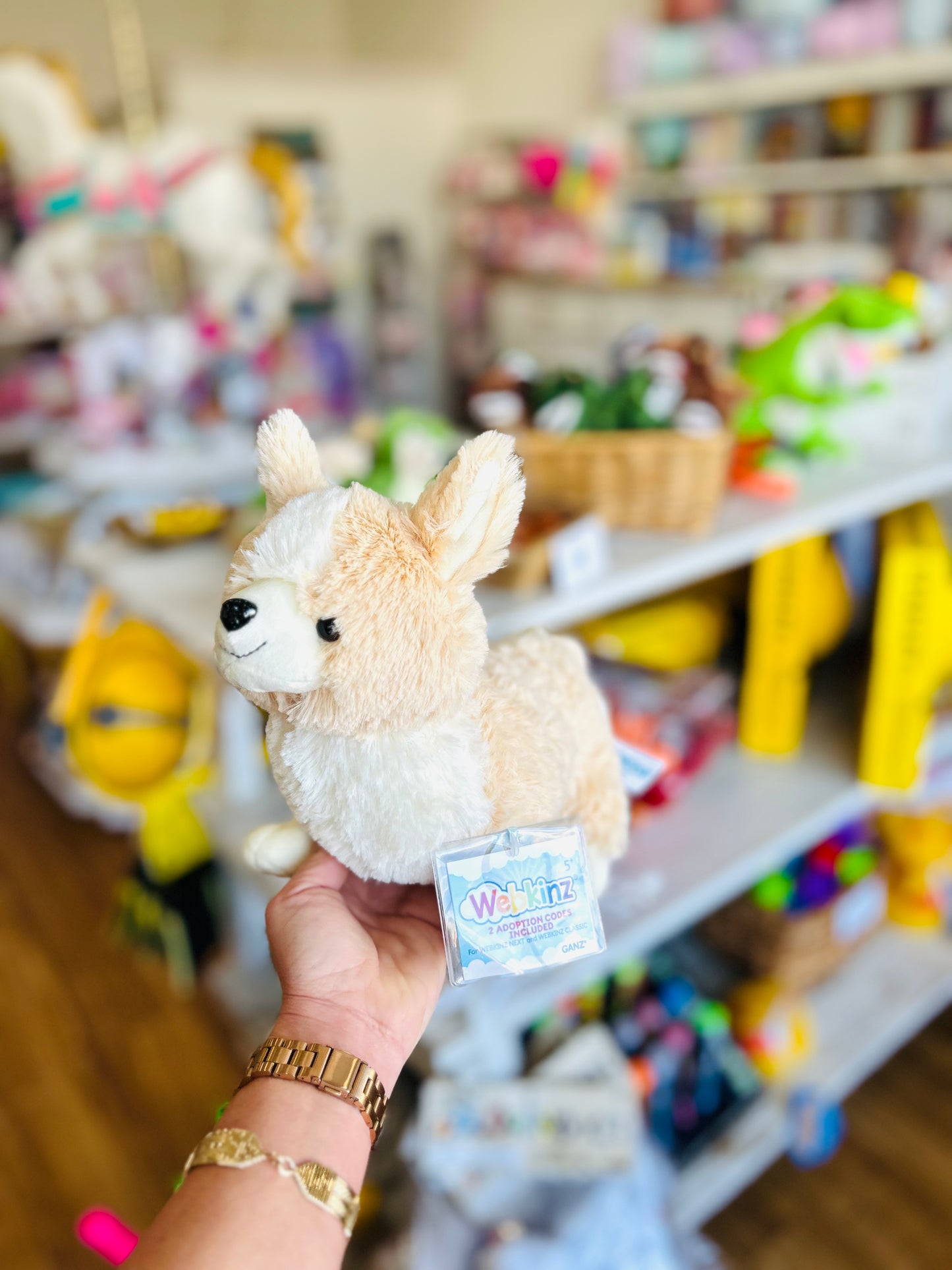Webkinz- Corgi