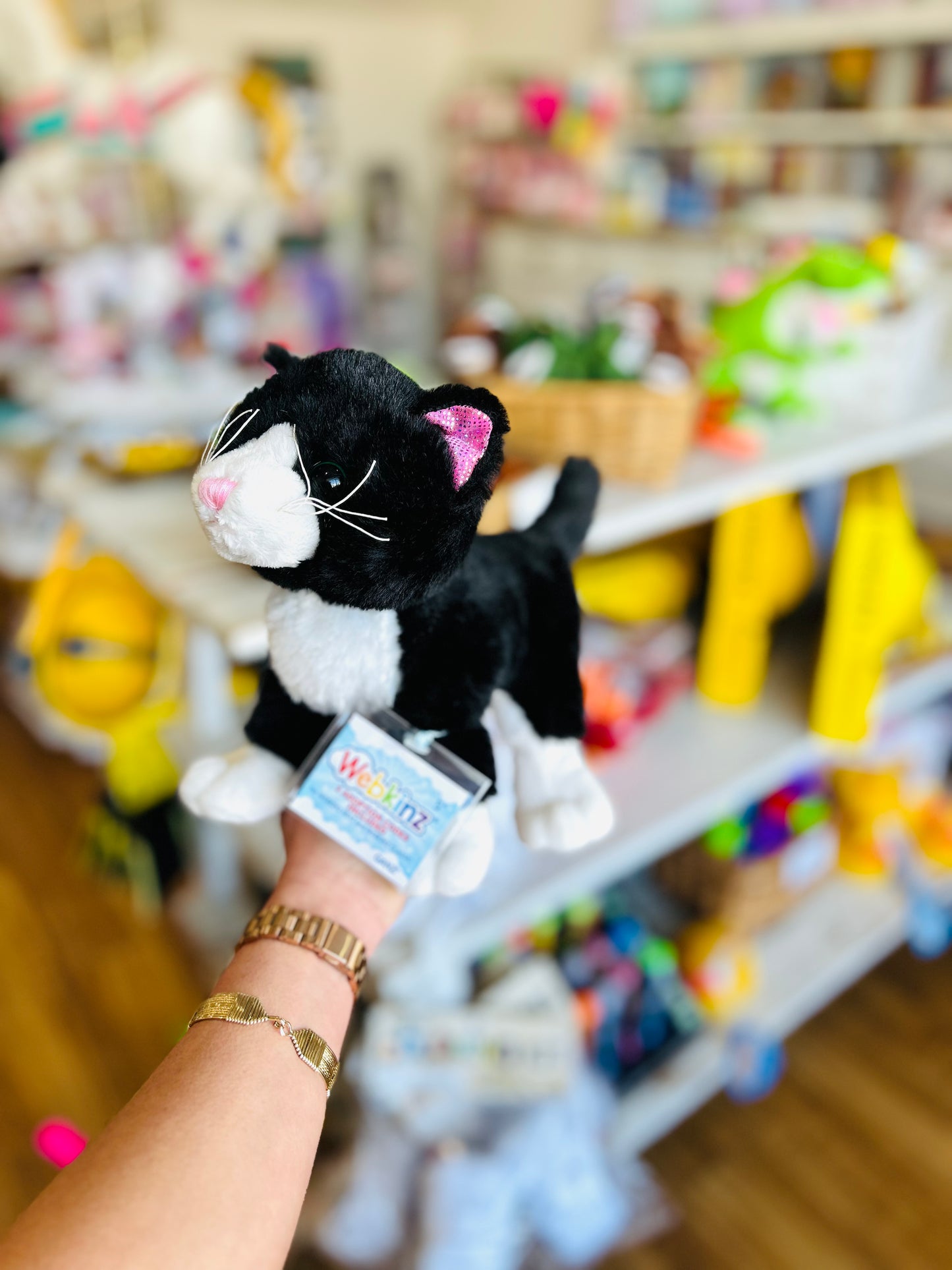 Webkinz- Black and White Cat