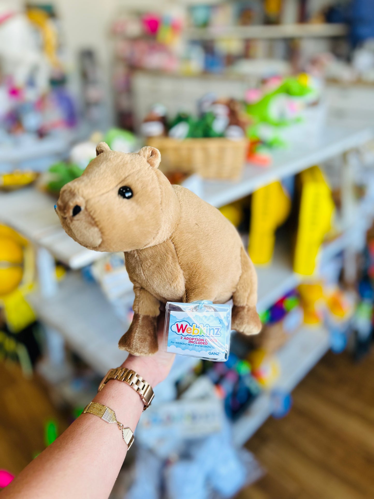 Webkinz- Capybara