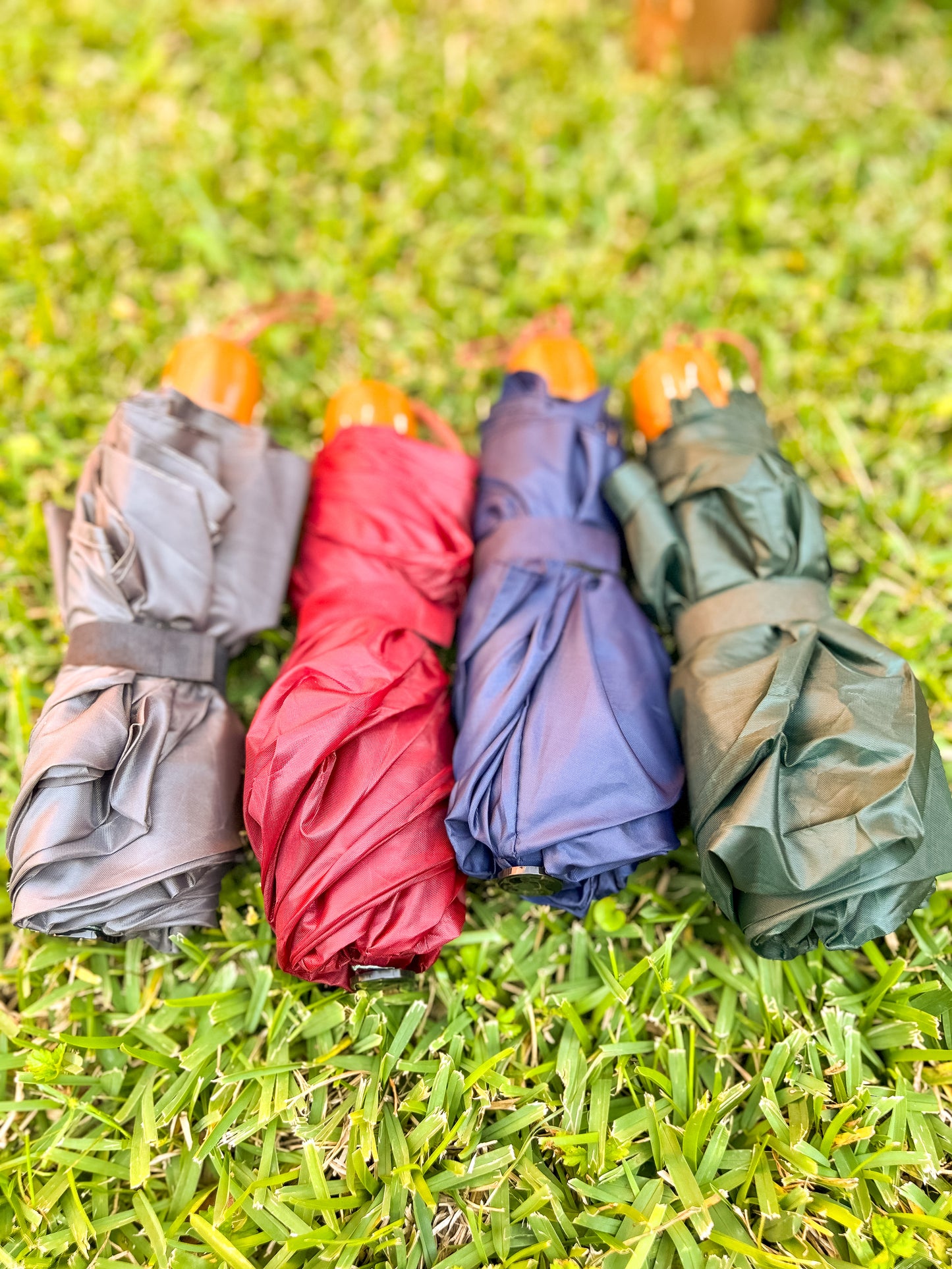 Solid Color Compact Umbrella