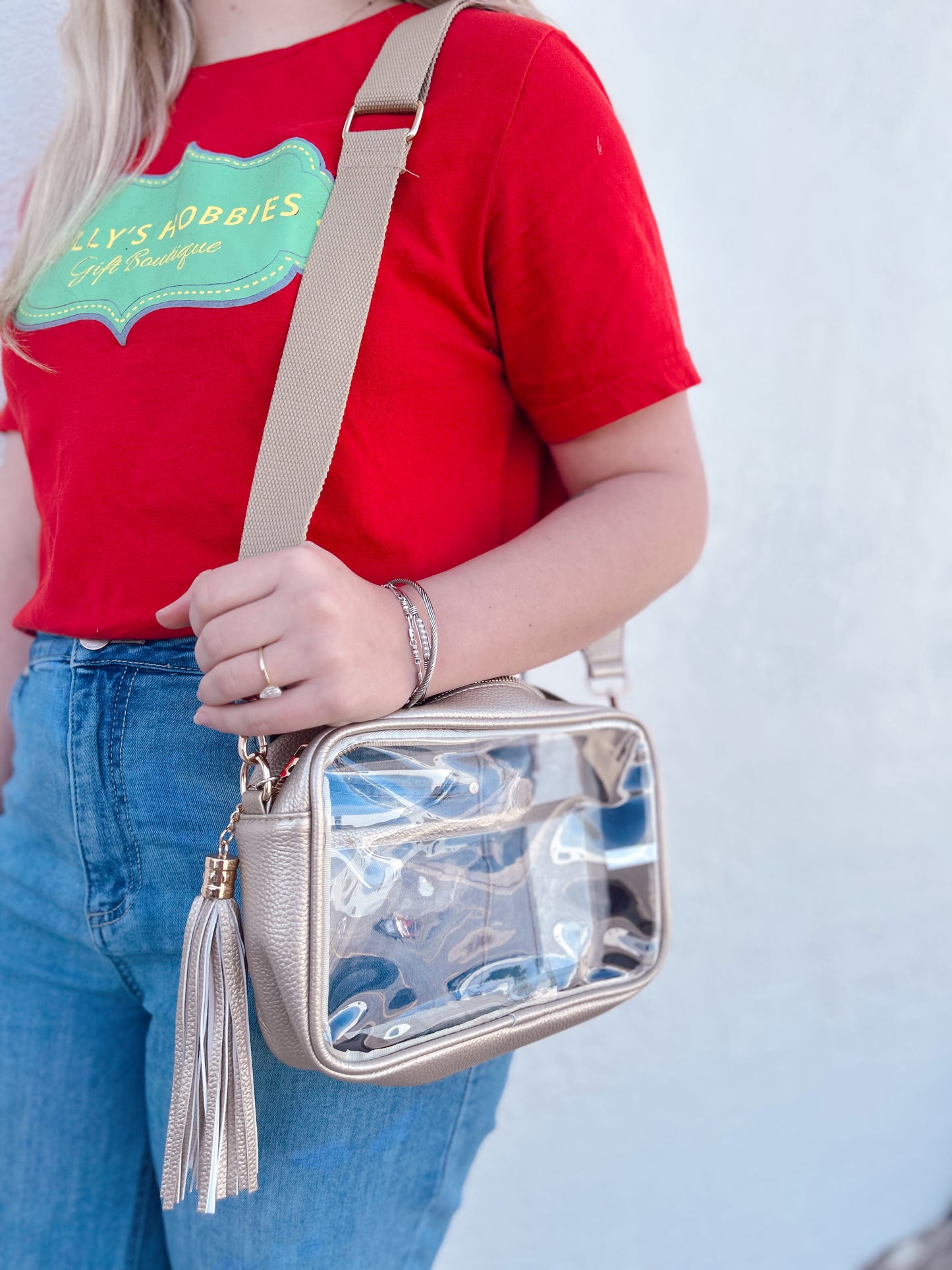 Clear Rectangle Purse