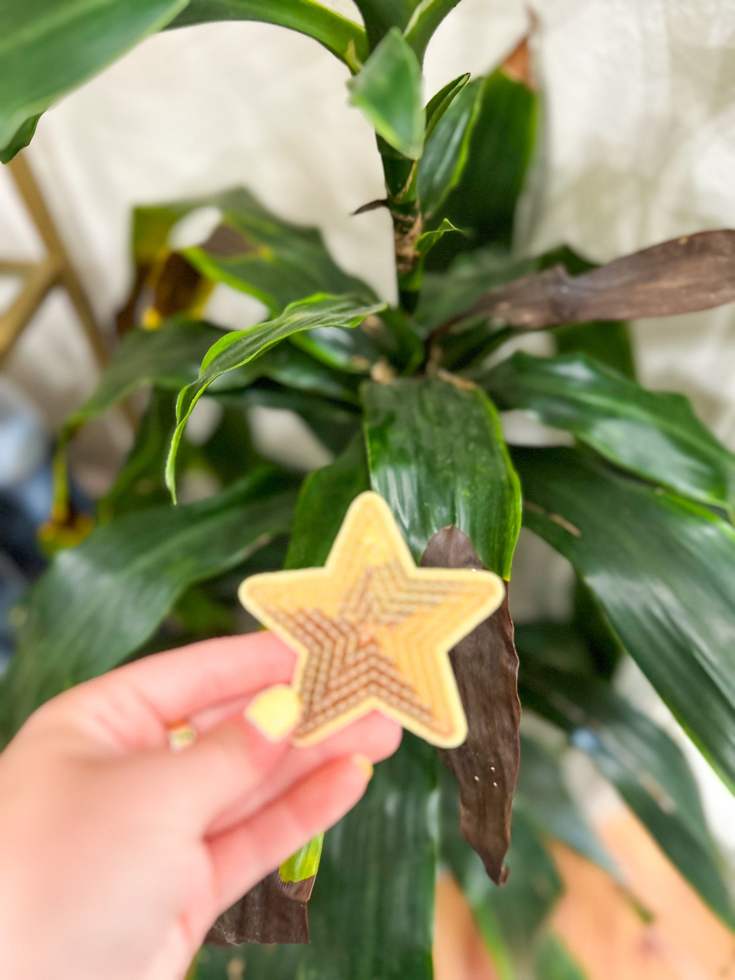 Patch- Small Sequin Star