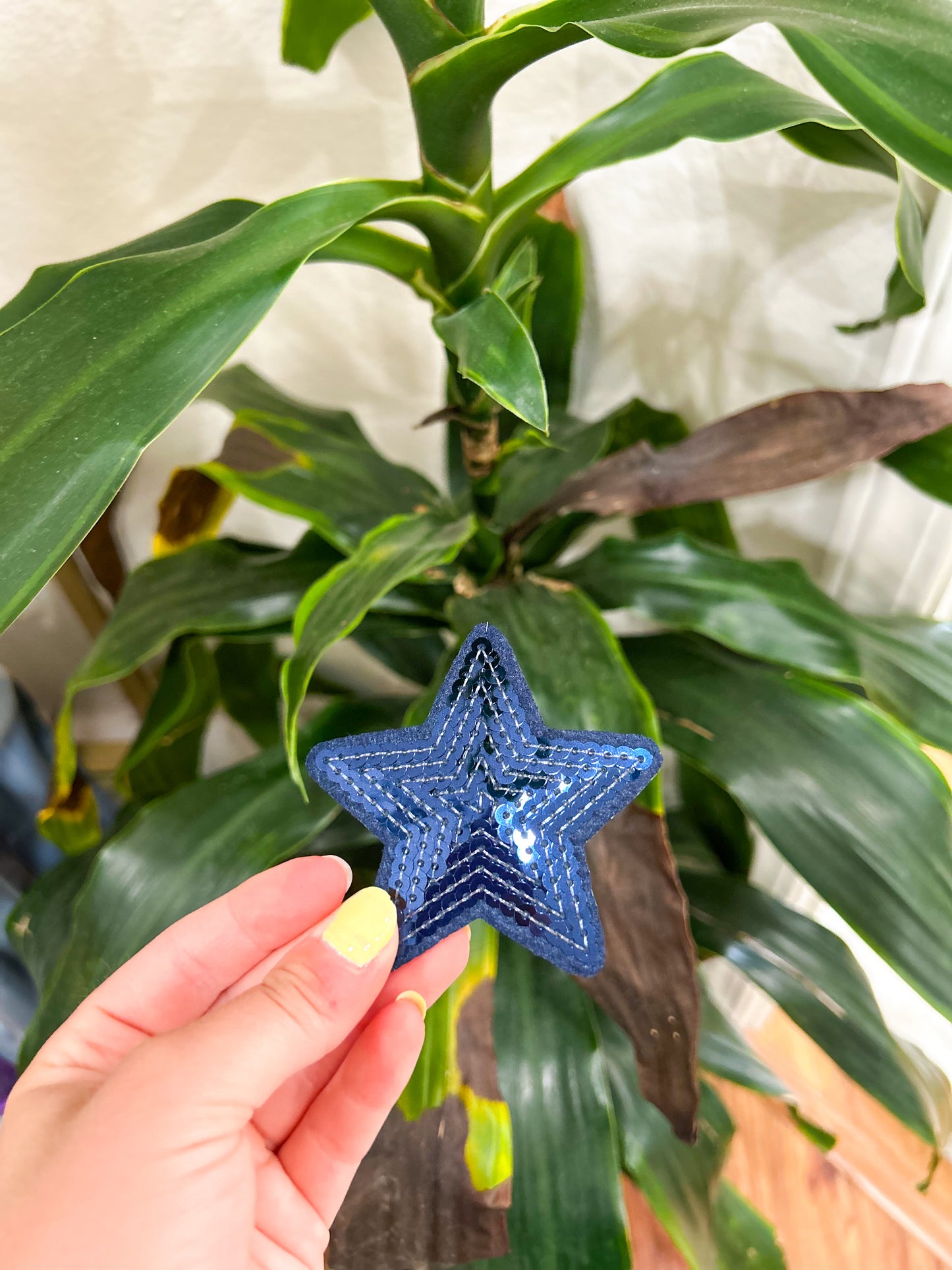 Patch- Small Sequin Star