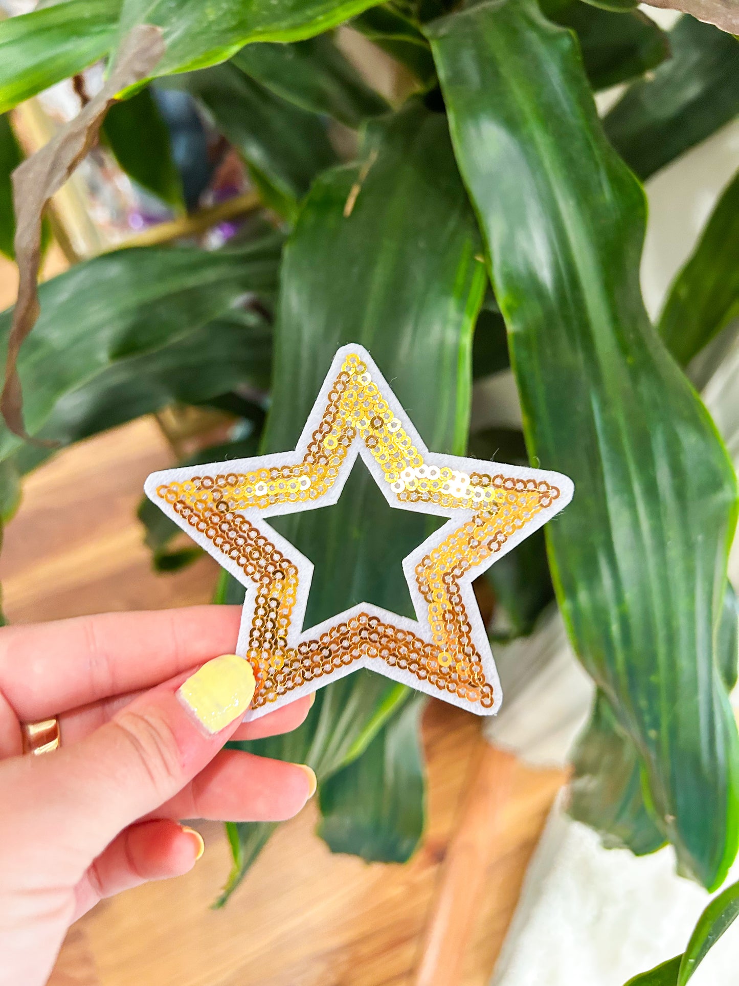 Patch- Sequin Star Cut Out