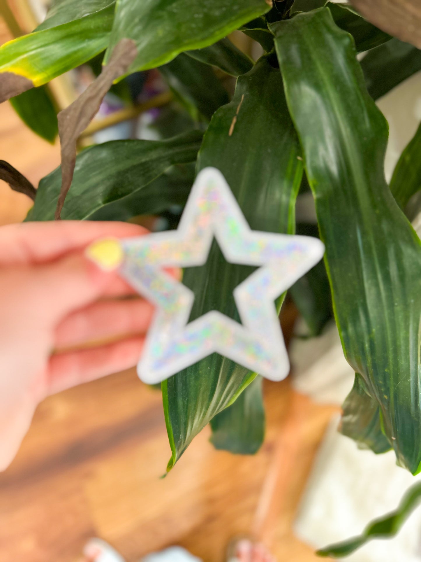 Patch- Sequin Star Cut Out