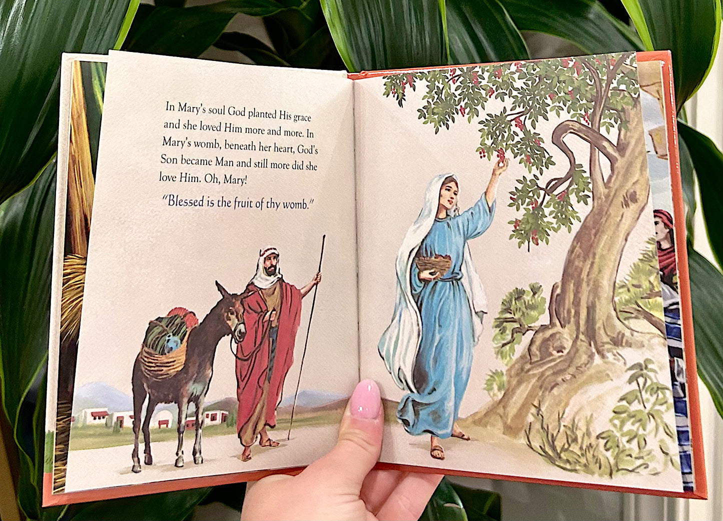 The Hail Mary a First Book