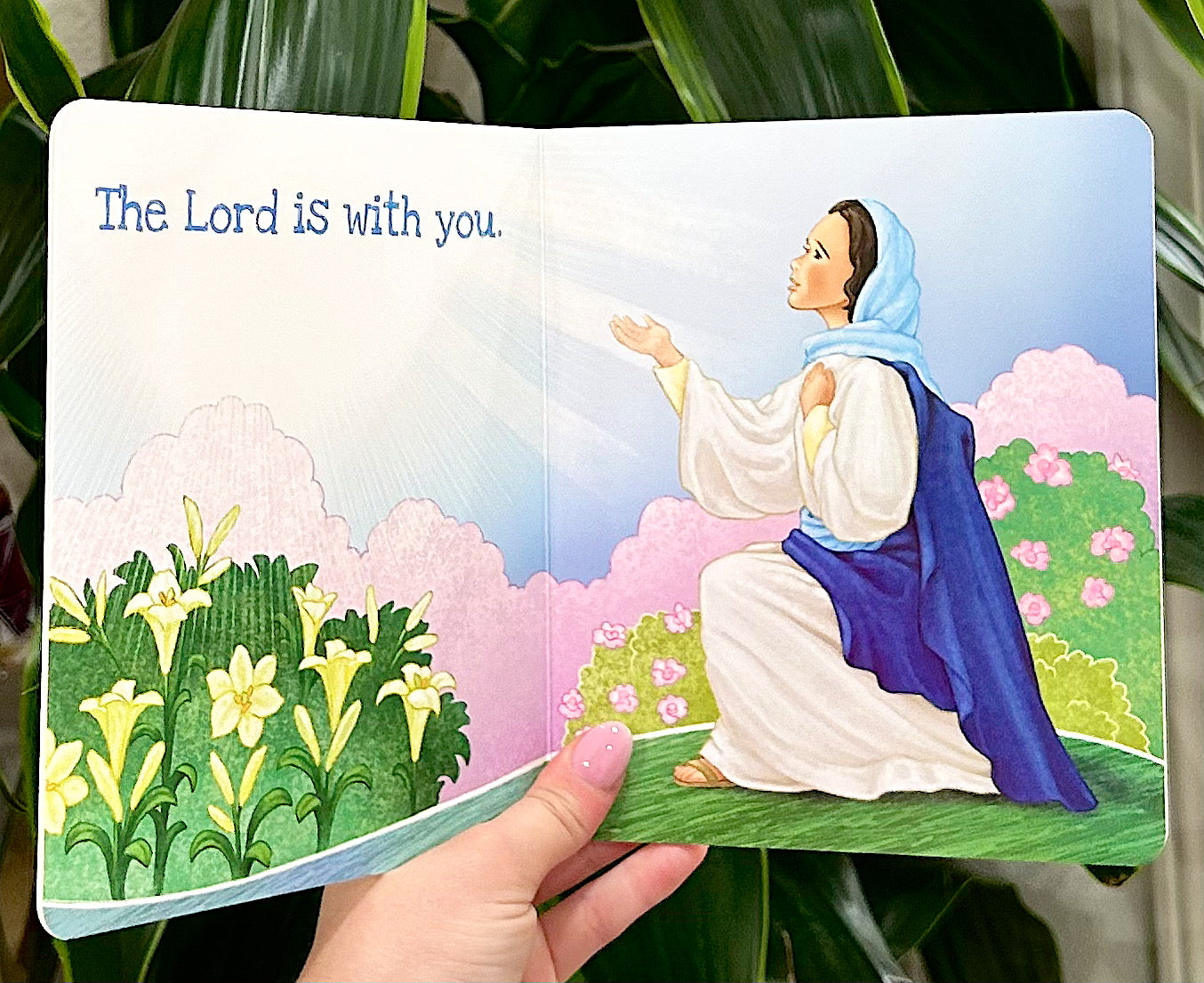 The Hail Mary Book