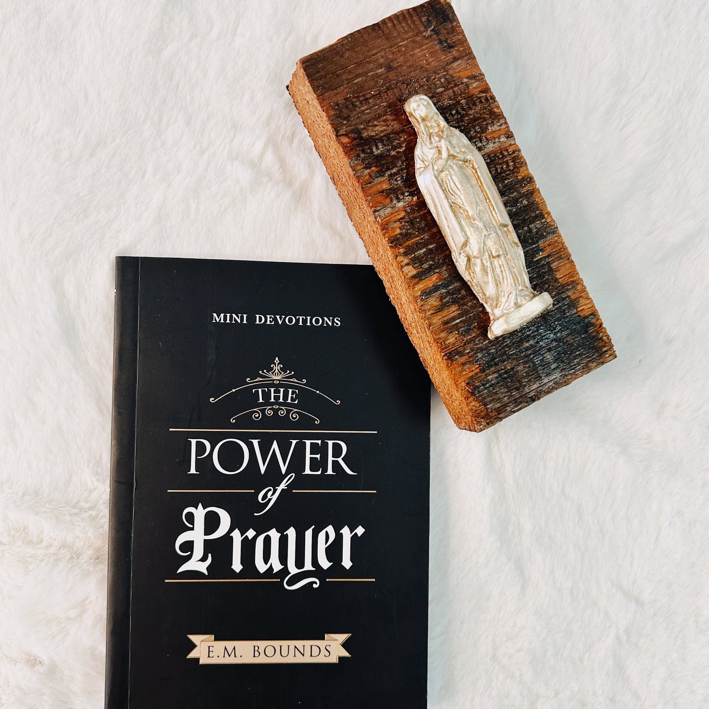 The Power of Prayer Mini Devotions