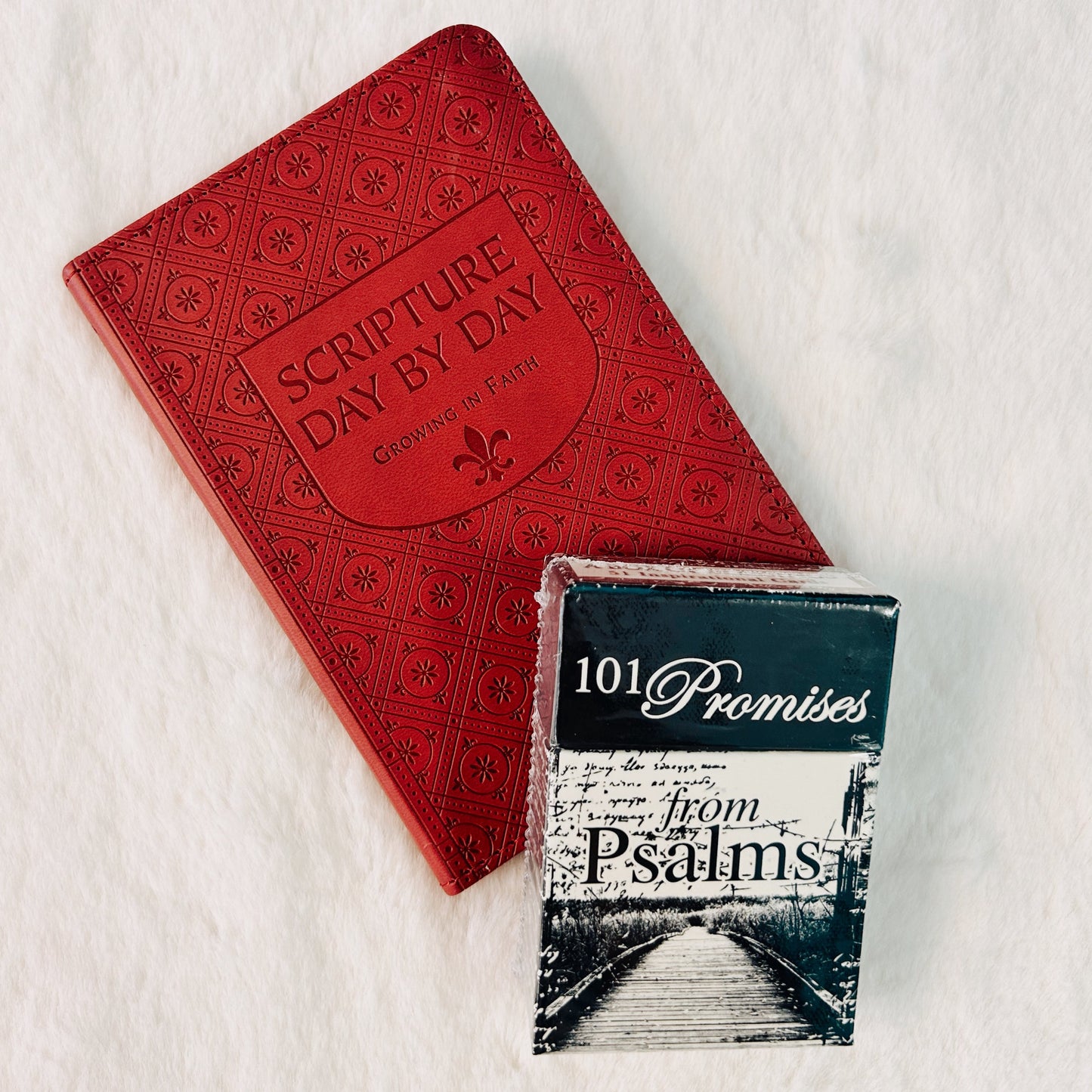 Scripture Day by Day