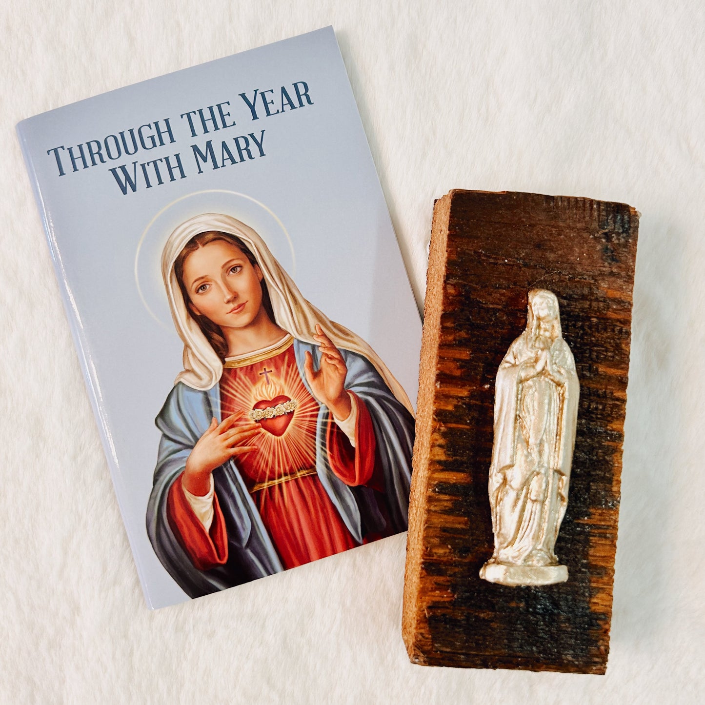 Through the Year with Mary PC