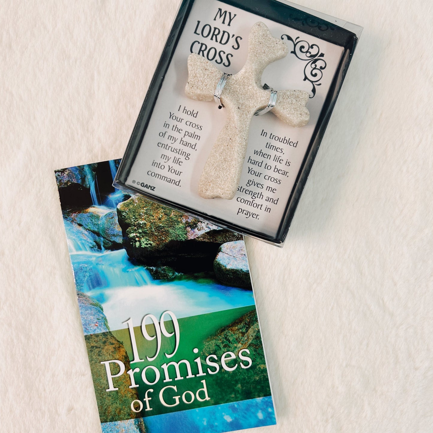 199 Promises of God