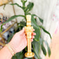 Gold Medium Sized Nutcrackers
