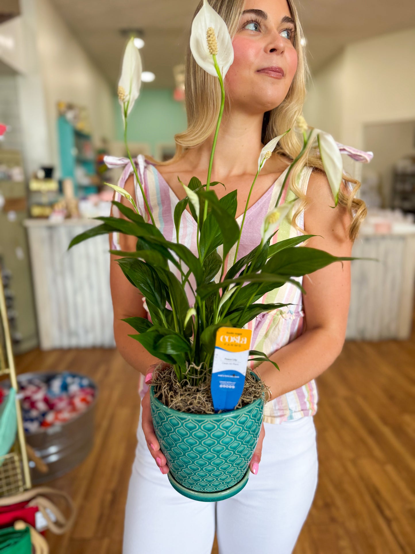 Peacock Poise Pot with Live Peace Lily Plant