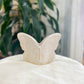 Butterfly Planter