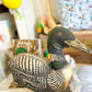 Loon Duck Figurine Pillow
