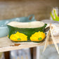 Vintage Ceramic Daisy Gravy Boat