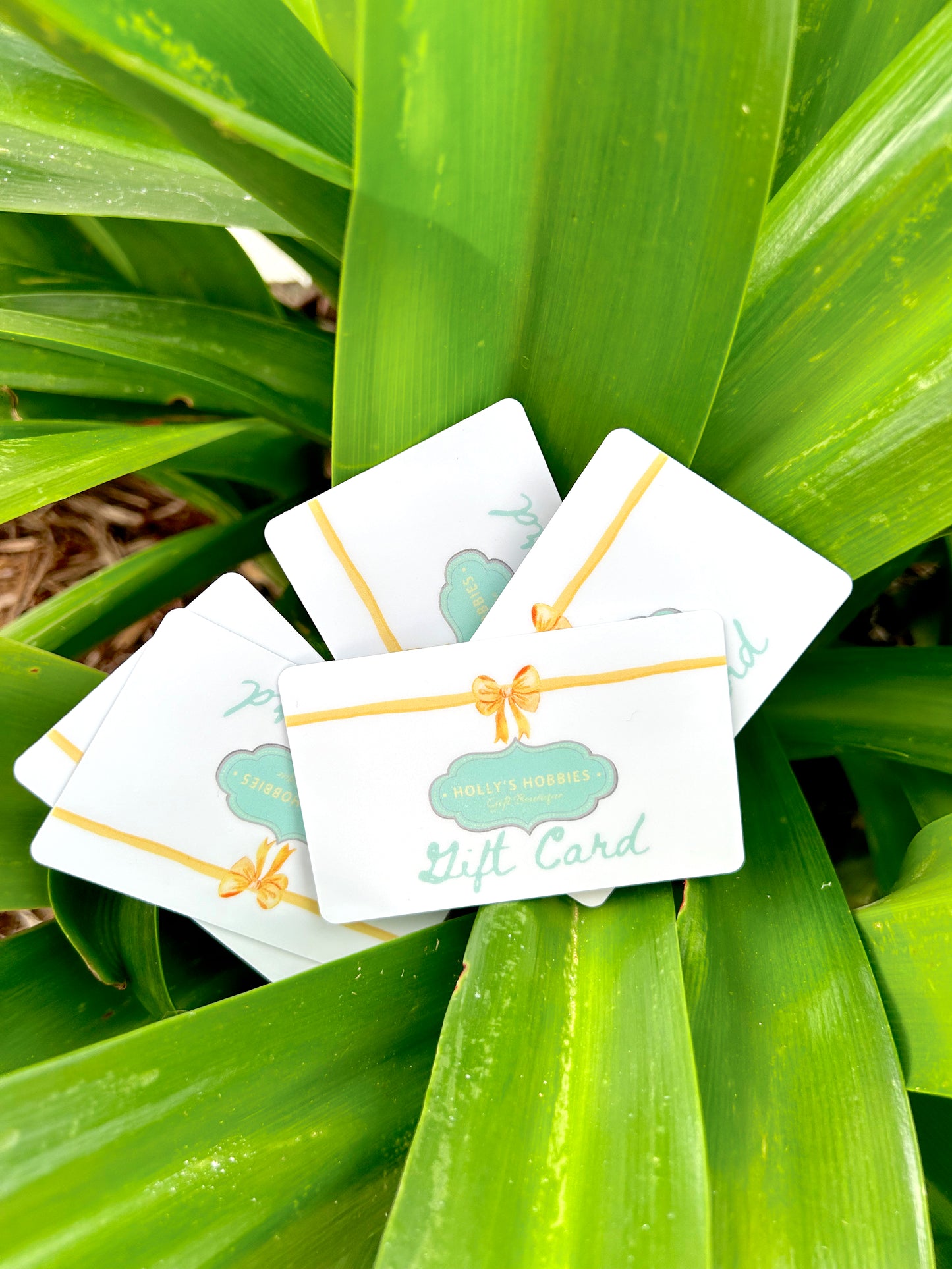 Holly's Hobbies Gift Card