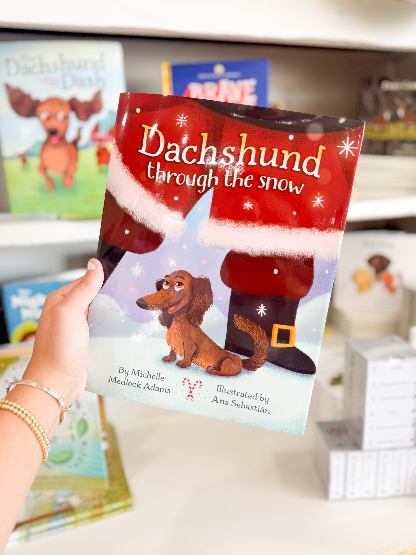 Dachshund through the snow